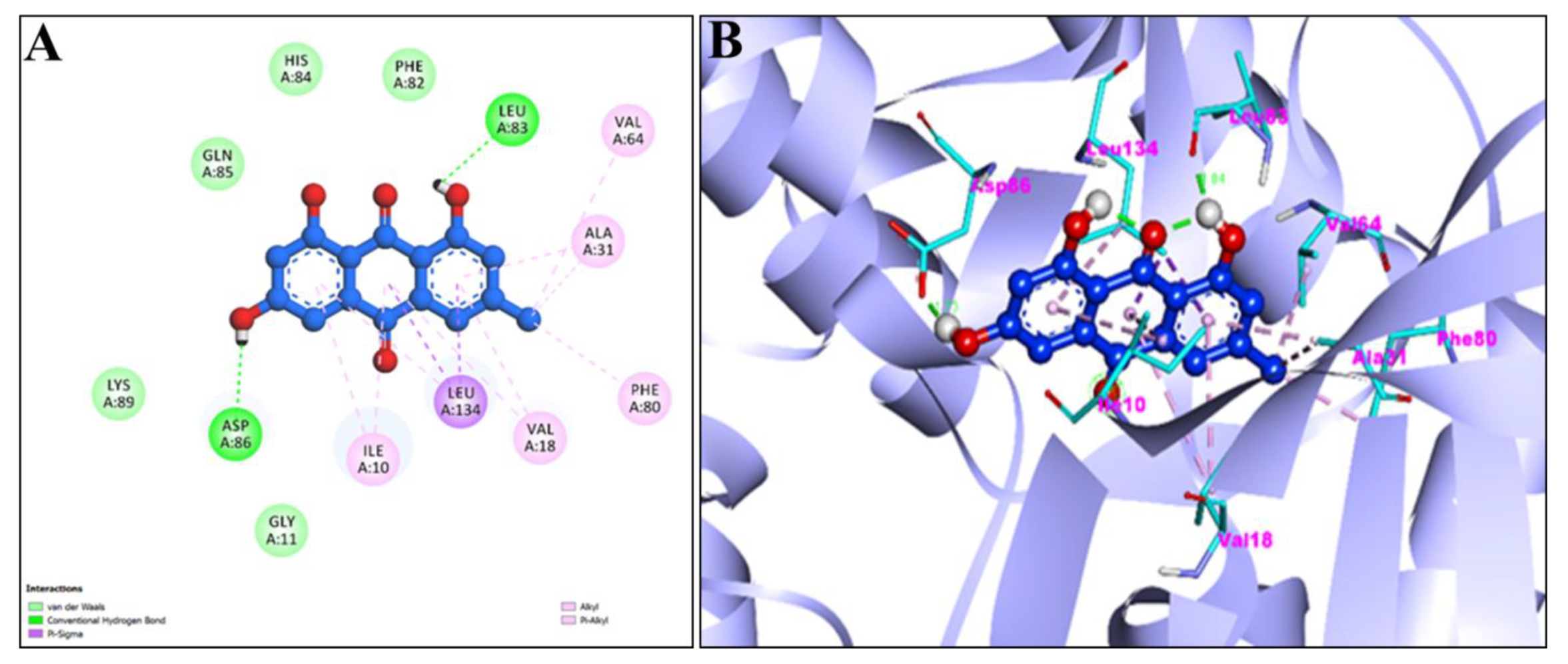 Pharmaceuticals 15 01348 g006 Pharmaceuticals 15 01348 g006