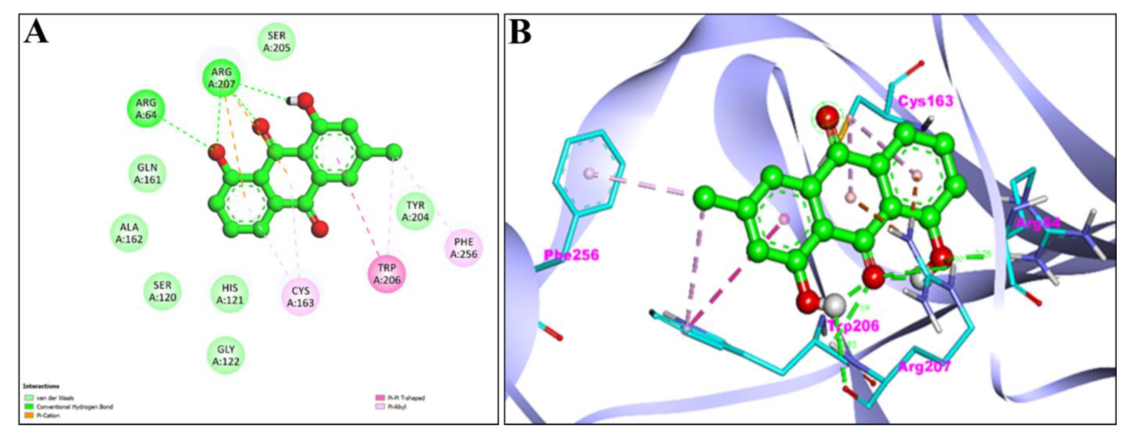 Pharmaceuticals 15 01348 g007 Pharmaceuticals 15 01348 g007