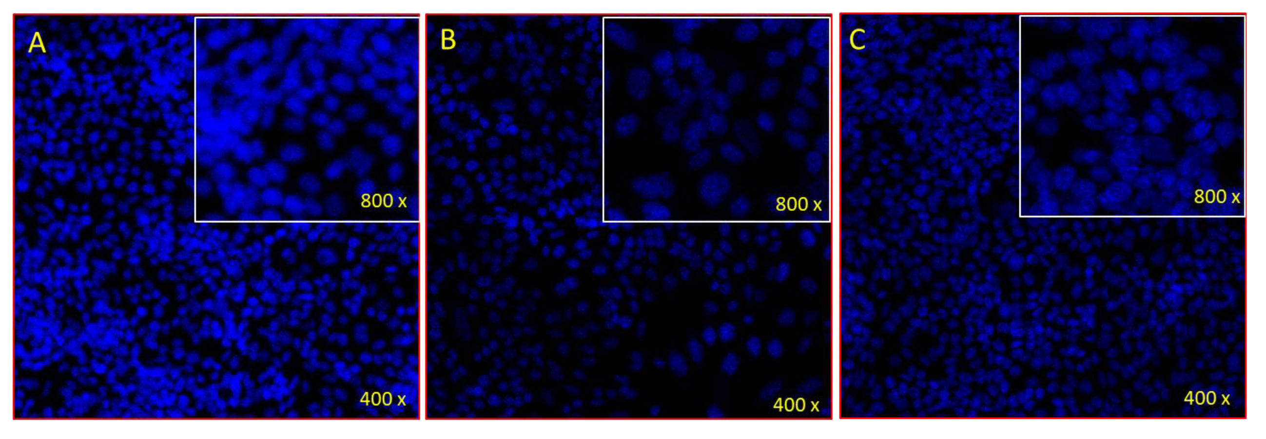 Pharmaceuticals 15 01348 g018 Pharmaceuticals 15 01348 g018