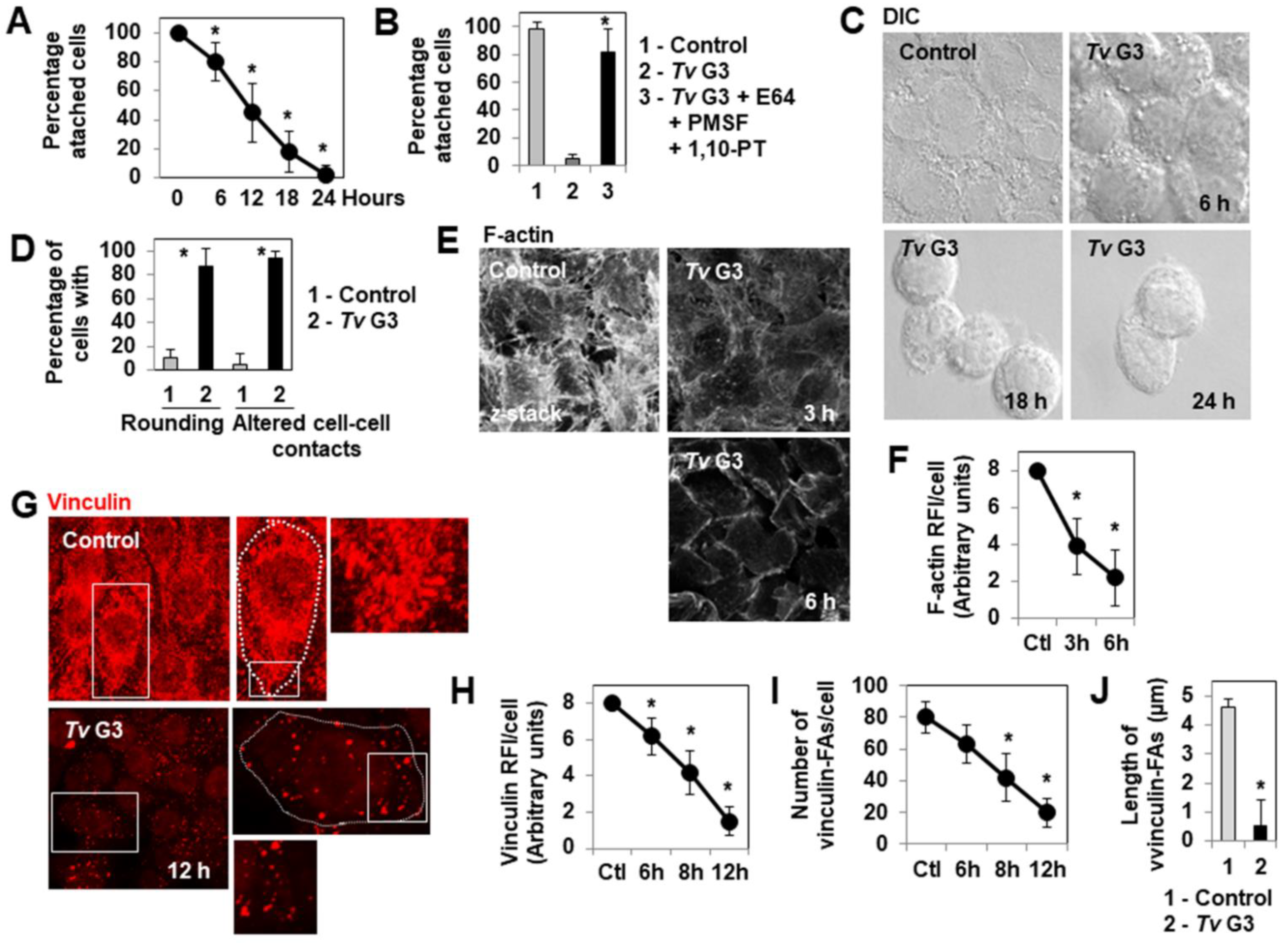 Pharmaceuticals 15 01350 g001 Pharmaceuticals 15 01350 g001