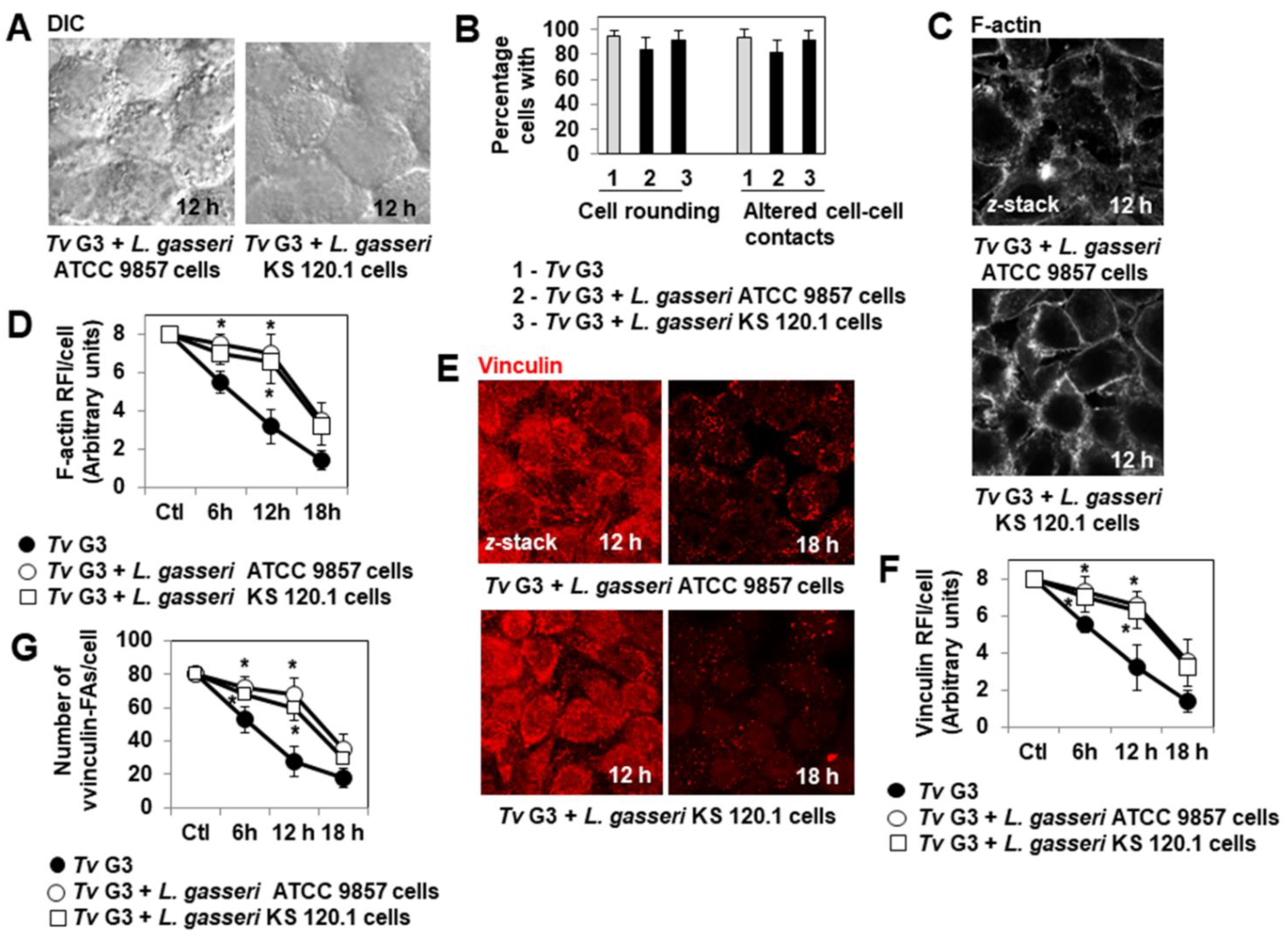 Pharmaceuticals 15 01350 g003 Pharmaceuticals 15 01350 g003