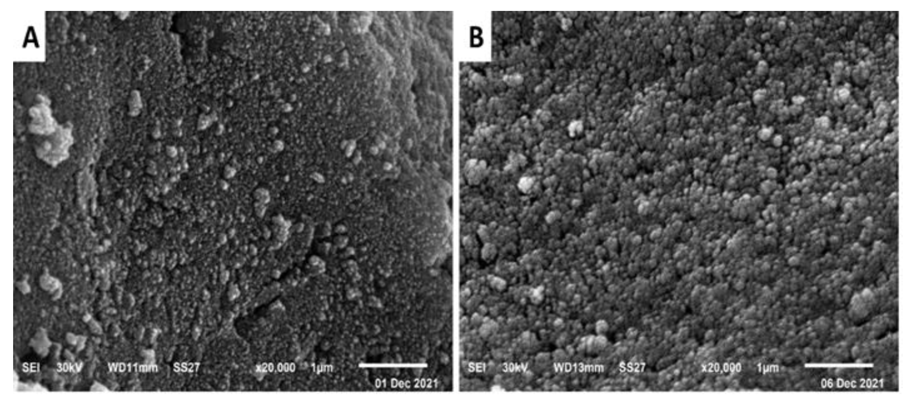 Pharmaceuticals 15 01354 g006 Pharmaceuticals 15 01354 g006