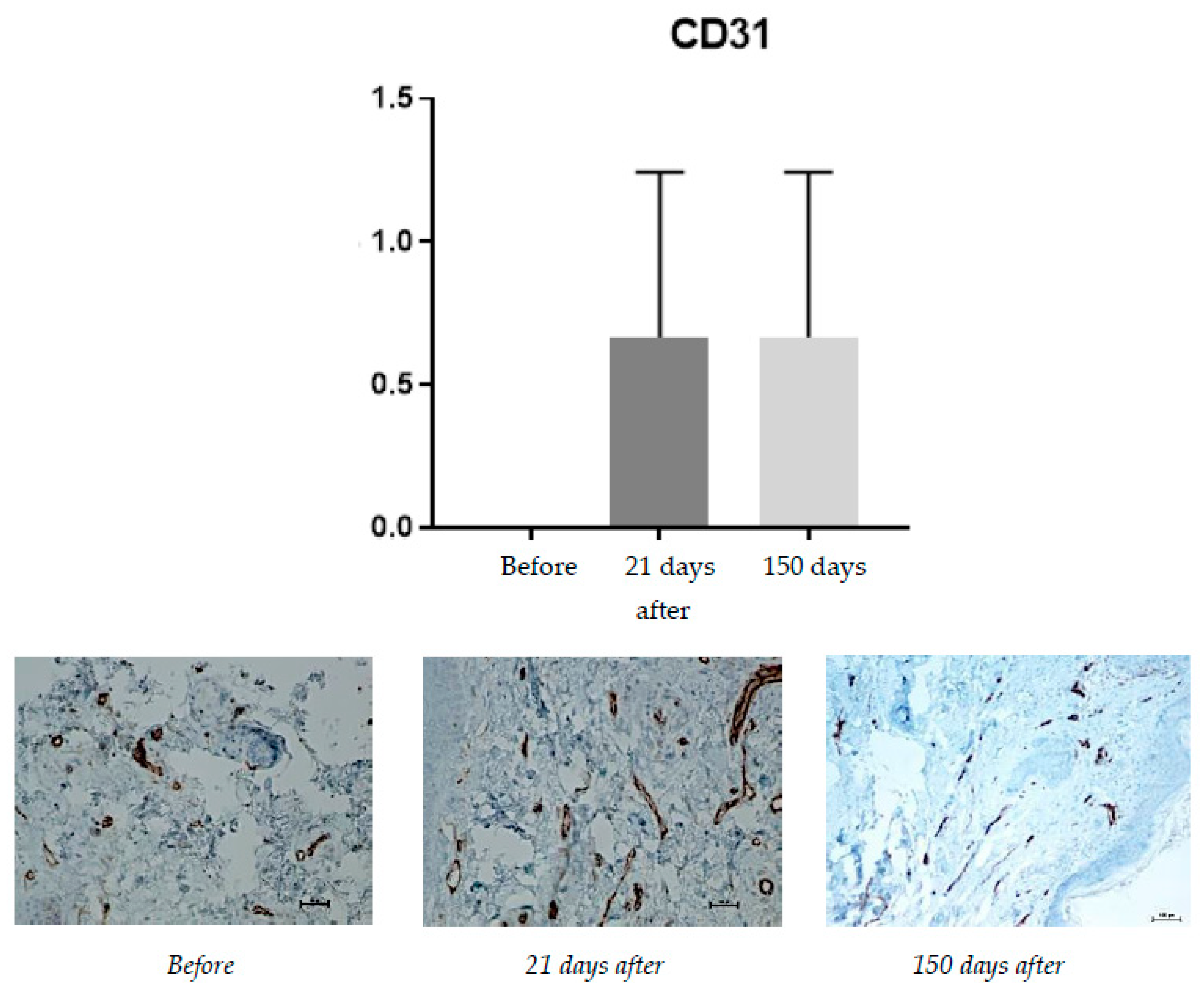 Pharmaceuticals 15 01355 g005 Pharmaceuticals 15 01355 g005