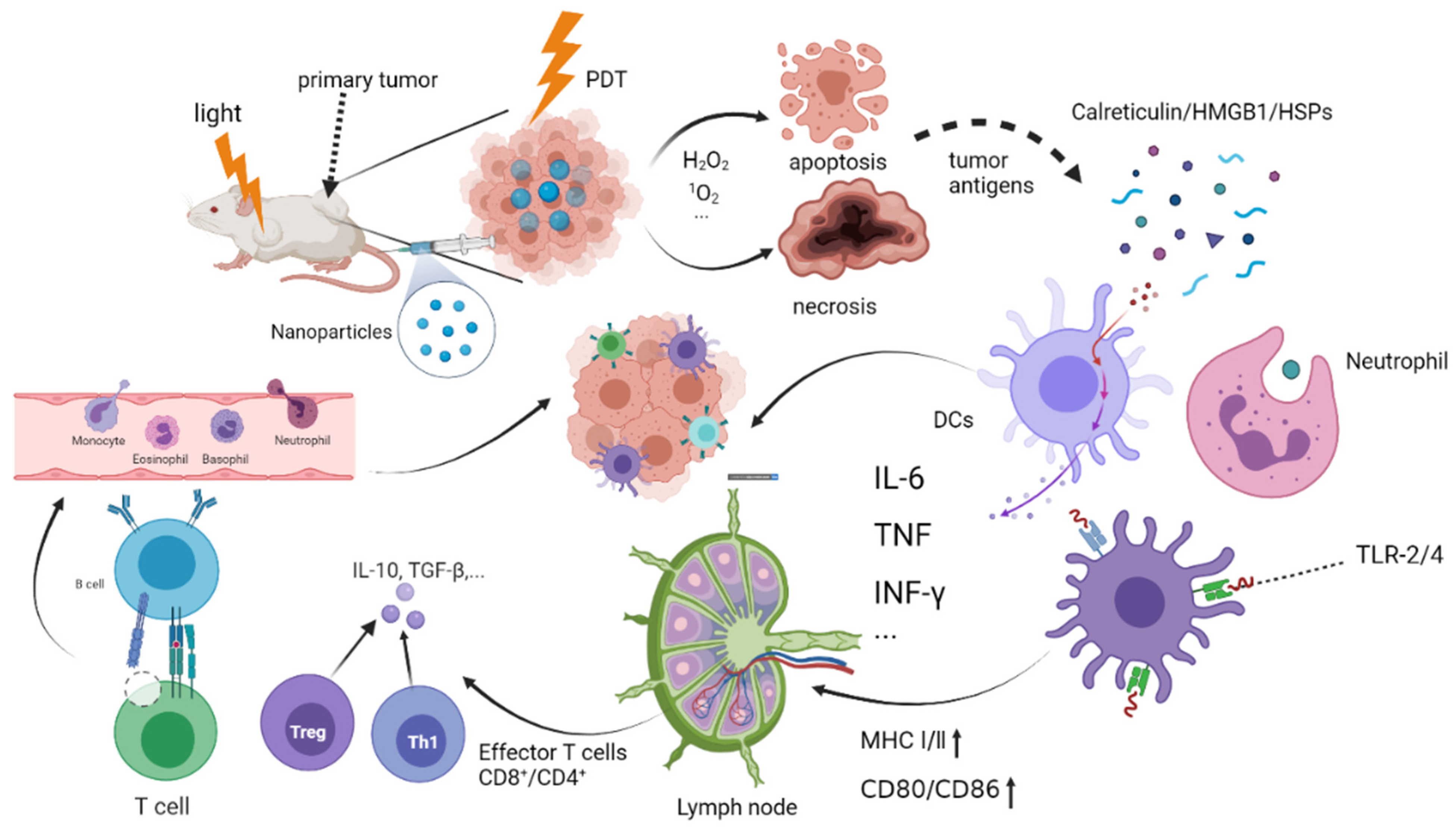 Pharmaceuticals 15 01359 g001 Pharmaceuticals 15 01359 g001