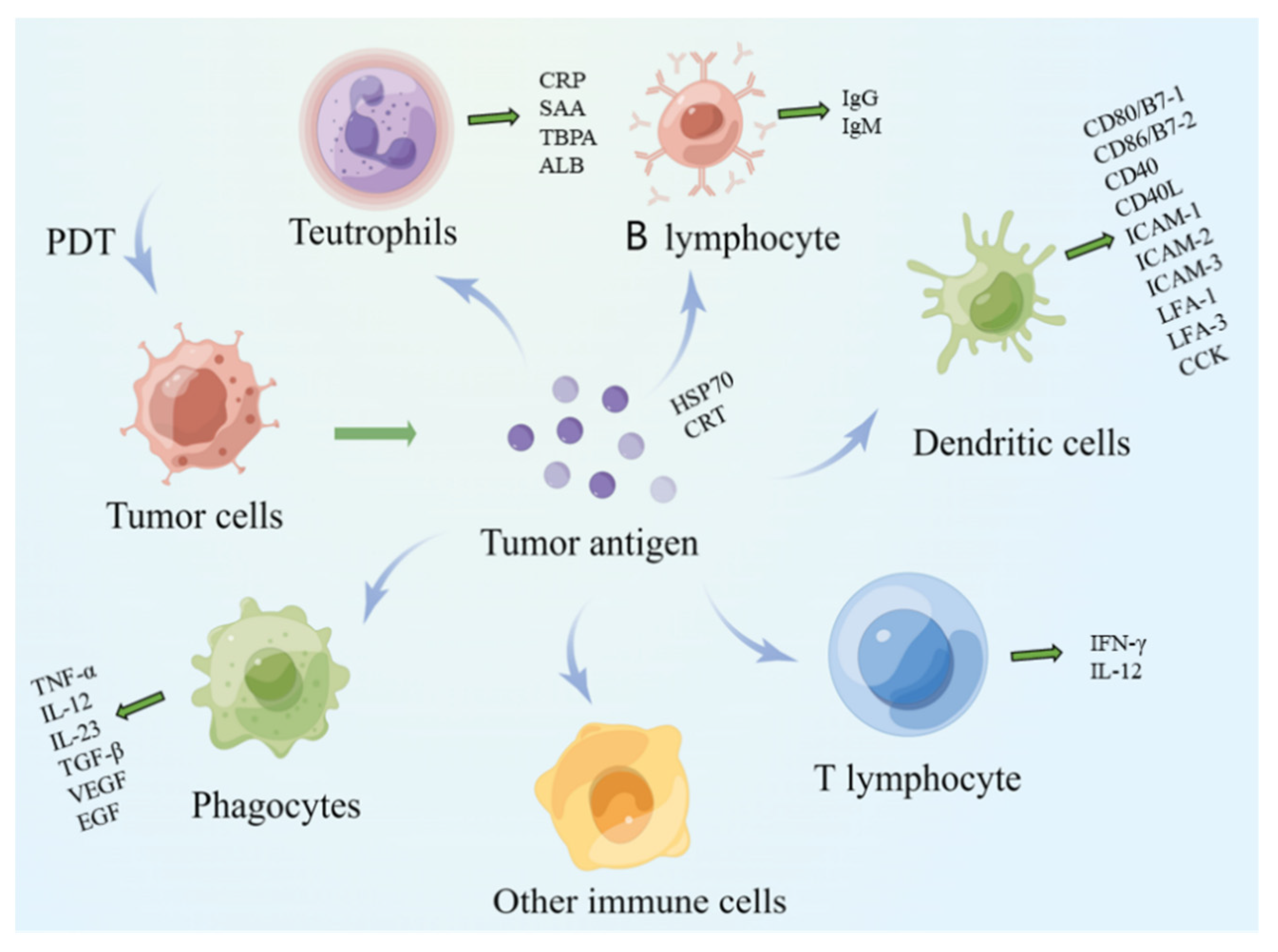 Pharmaceuticals 15 01359 g002 Pharmaceuticals 15 01359 g002