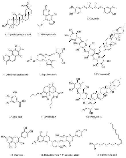 Phytochemicals Targeting Ferroptosis: Therapeutic
