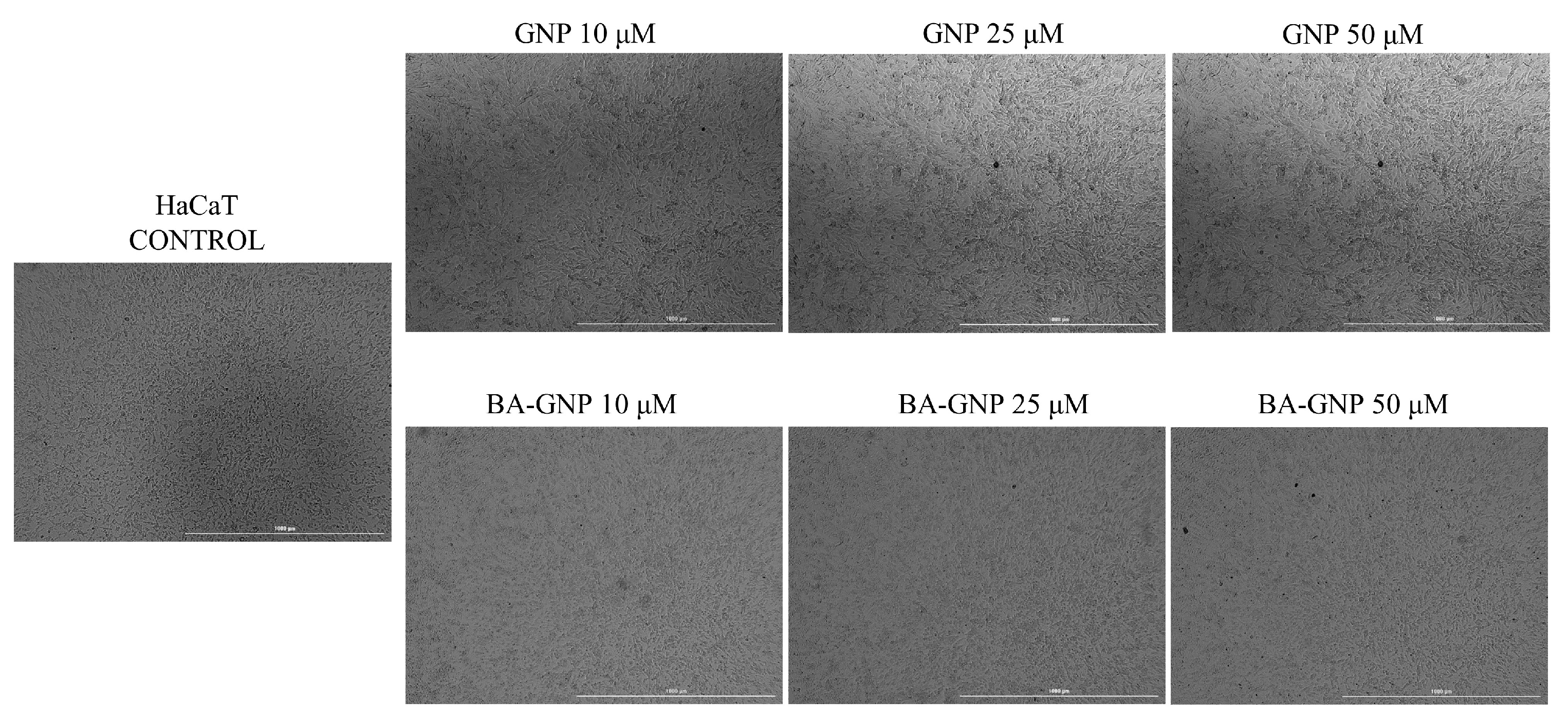 Pharmaceuticals 15 01362 g008