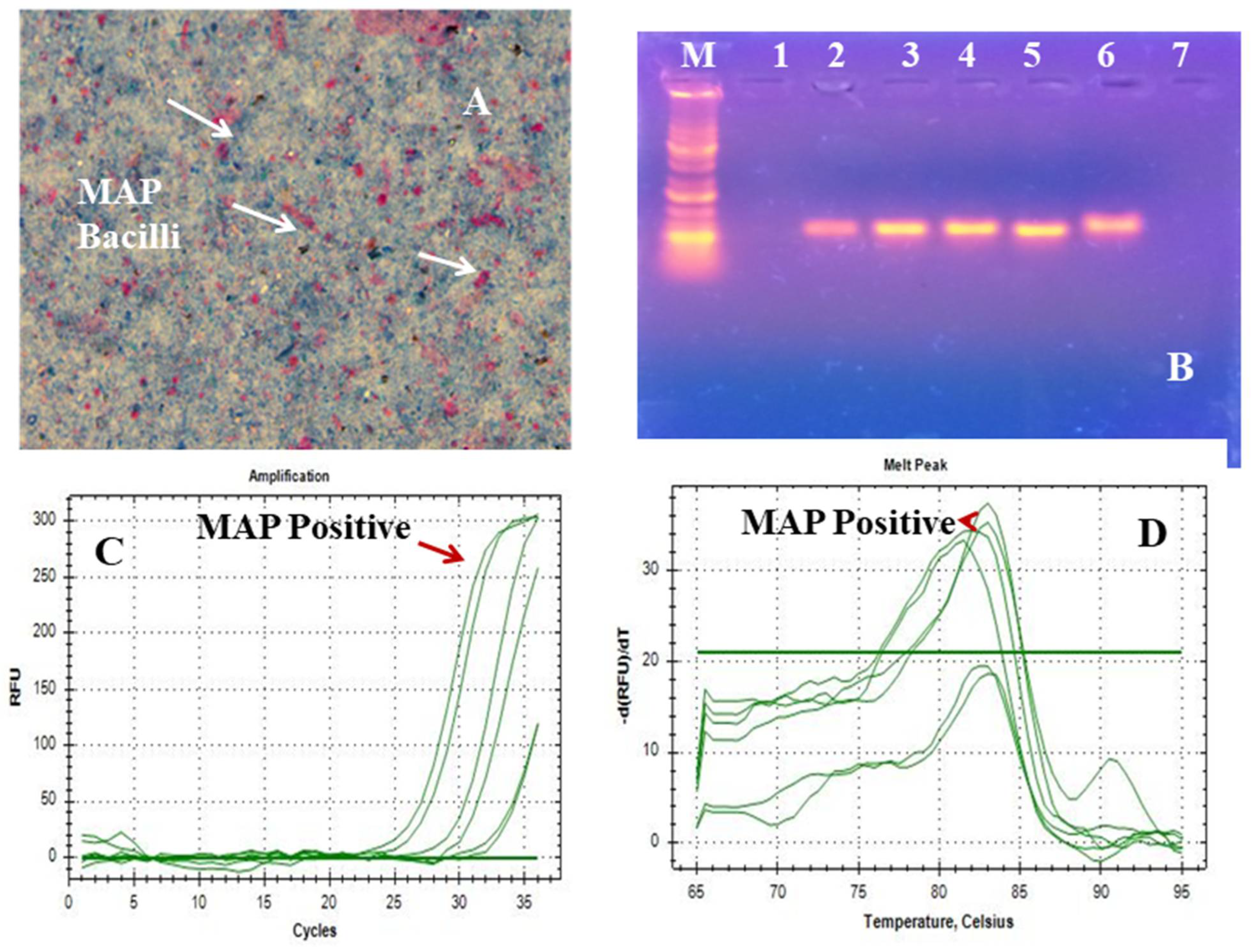 Pharmaceuticals 15 01367 g004 Pharmaceuticals 15 01367 g004