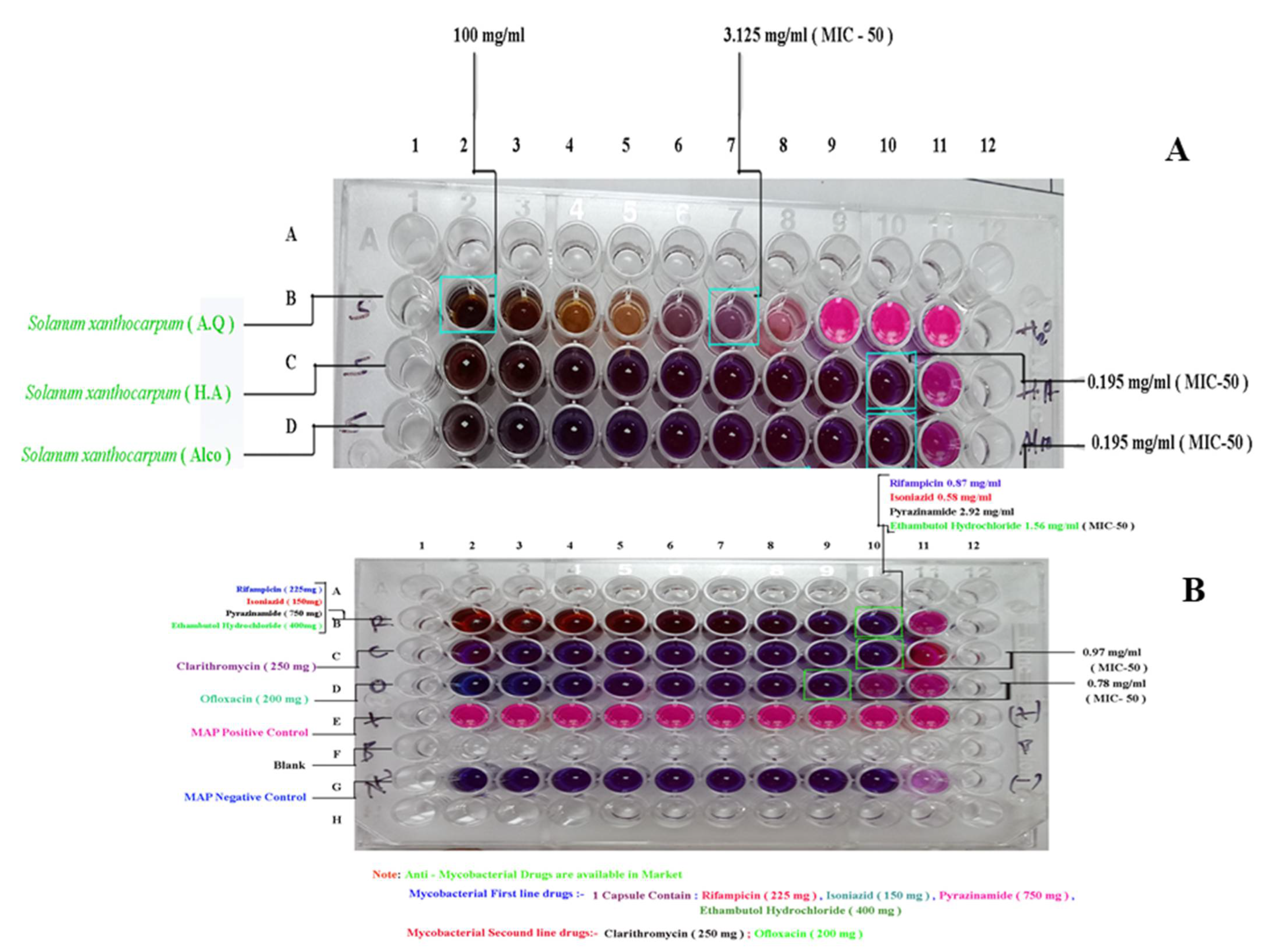 Pharmaceuticals 15 01367 g005 Pharmaceuticals 15 01367 g005