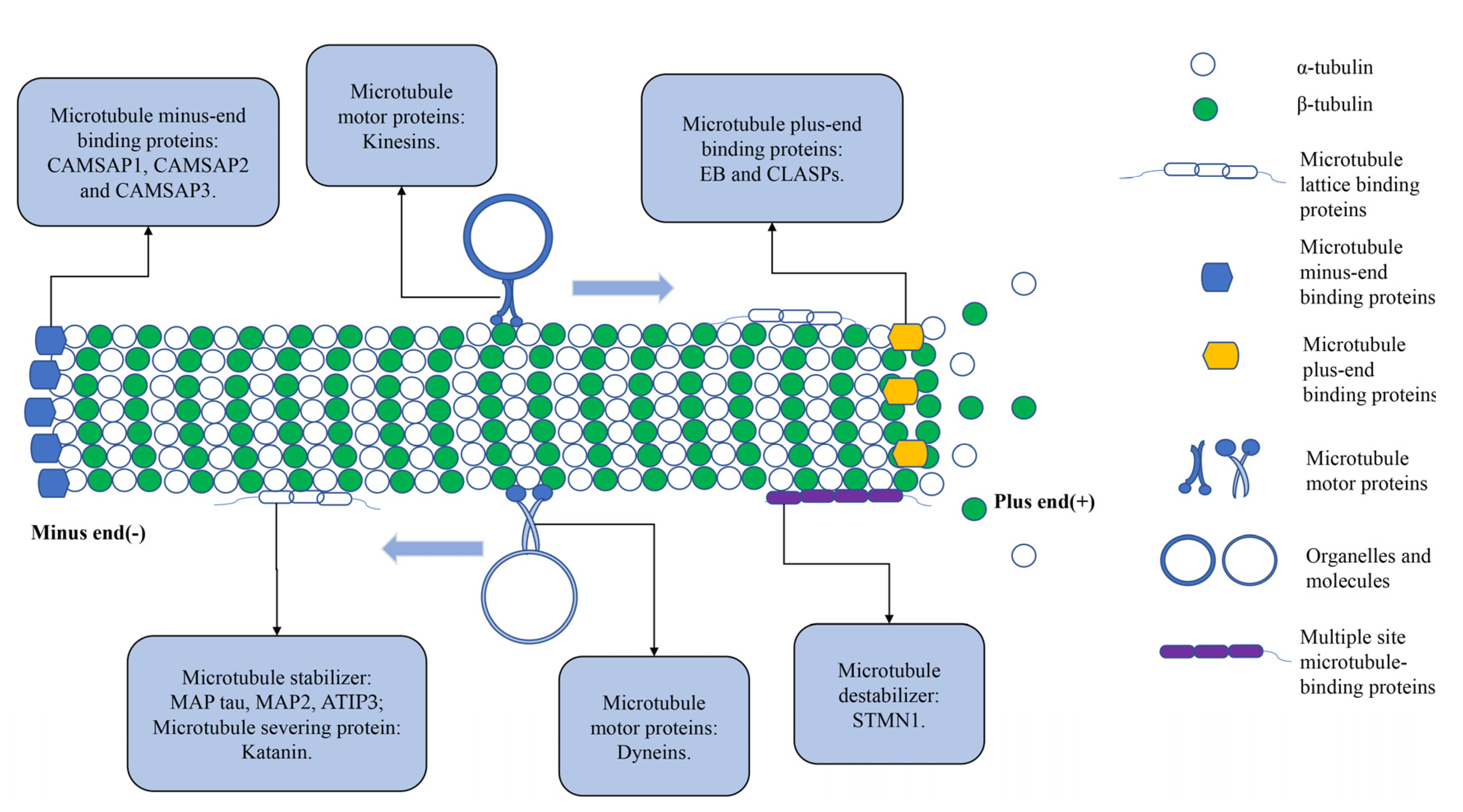 Pharmaceuticals 15 01369 g002 Pharmaceuticals 15 01369 g002