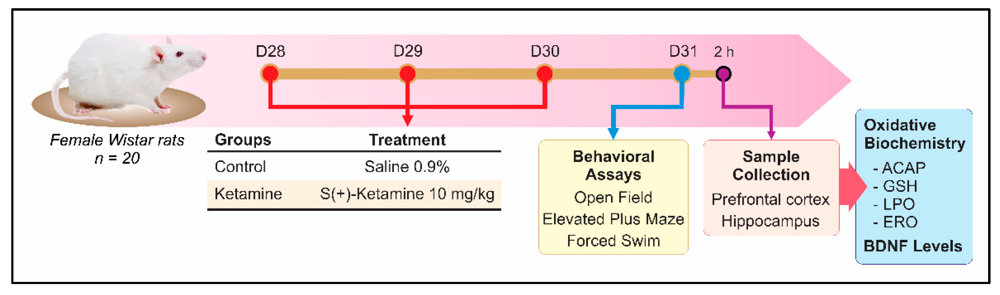 Pharmaceuticals 15 01373 g001 Pharmaceuticals 15 01373 g001