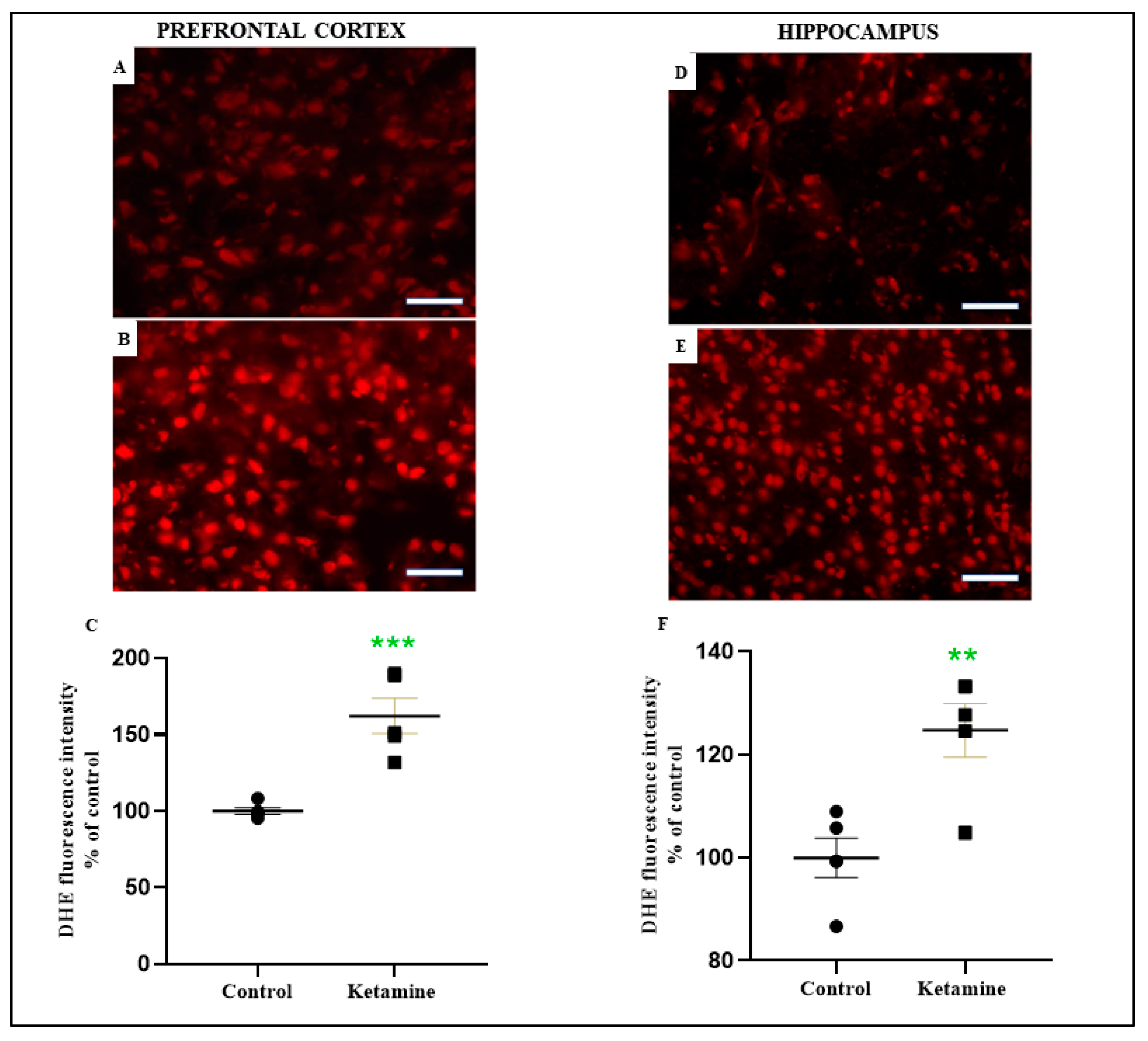 Pharmaceuticals 15 01373 g006 Pharmaceuticals 15 01373 g006