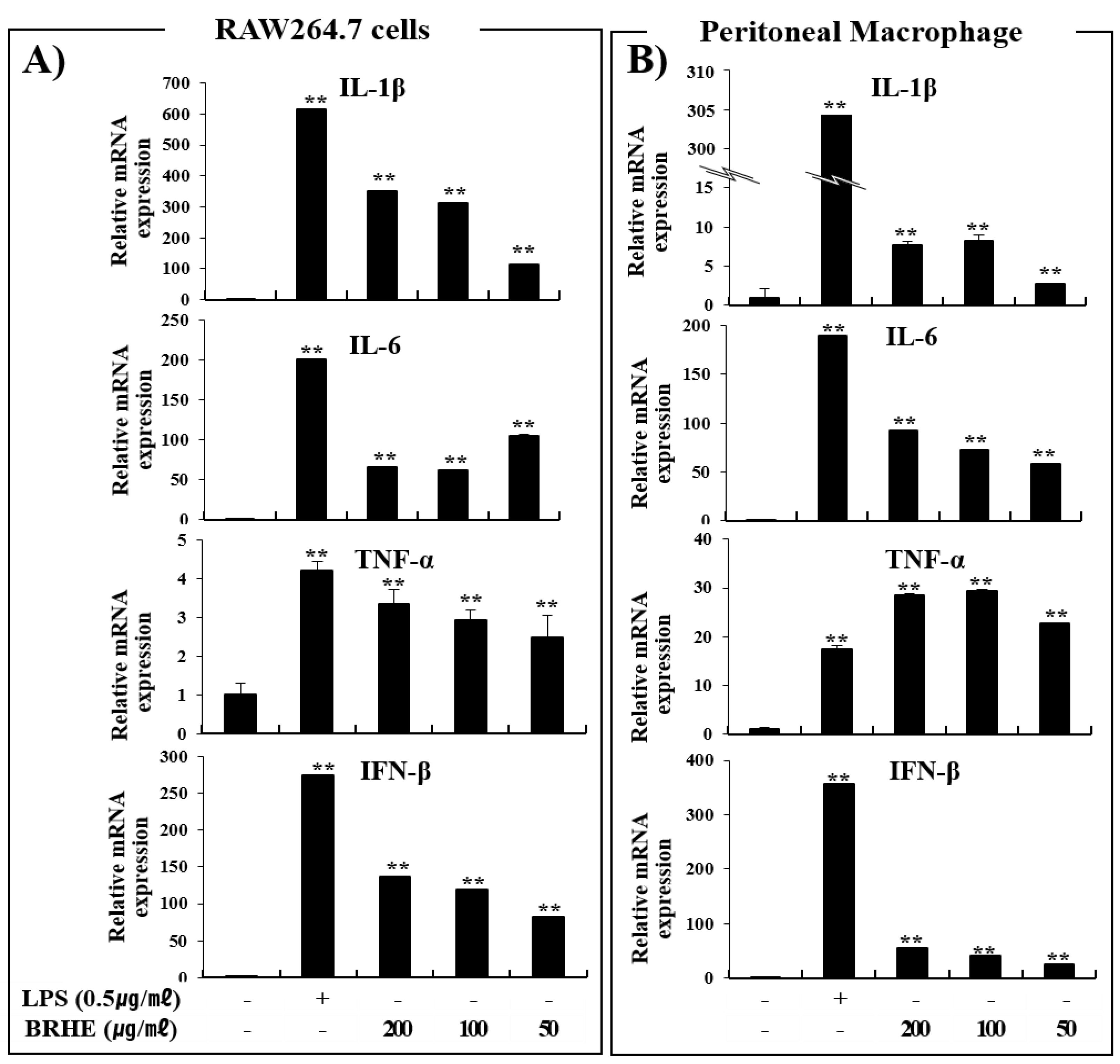 Pharmaceuticals 15 01376 g008 Pharmaceuticals 15 01376 g008