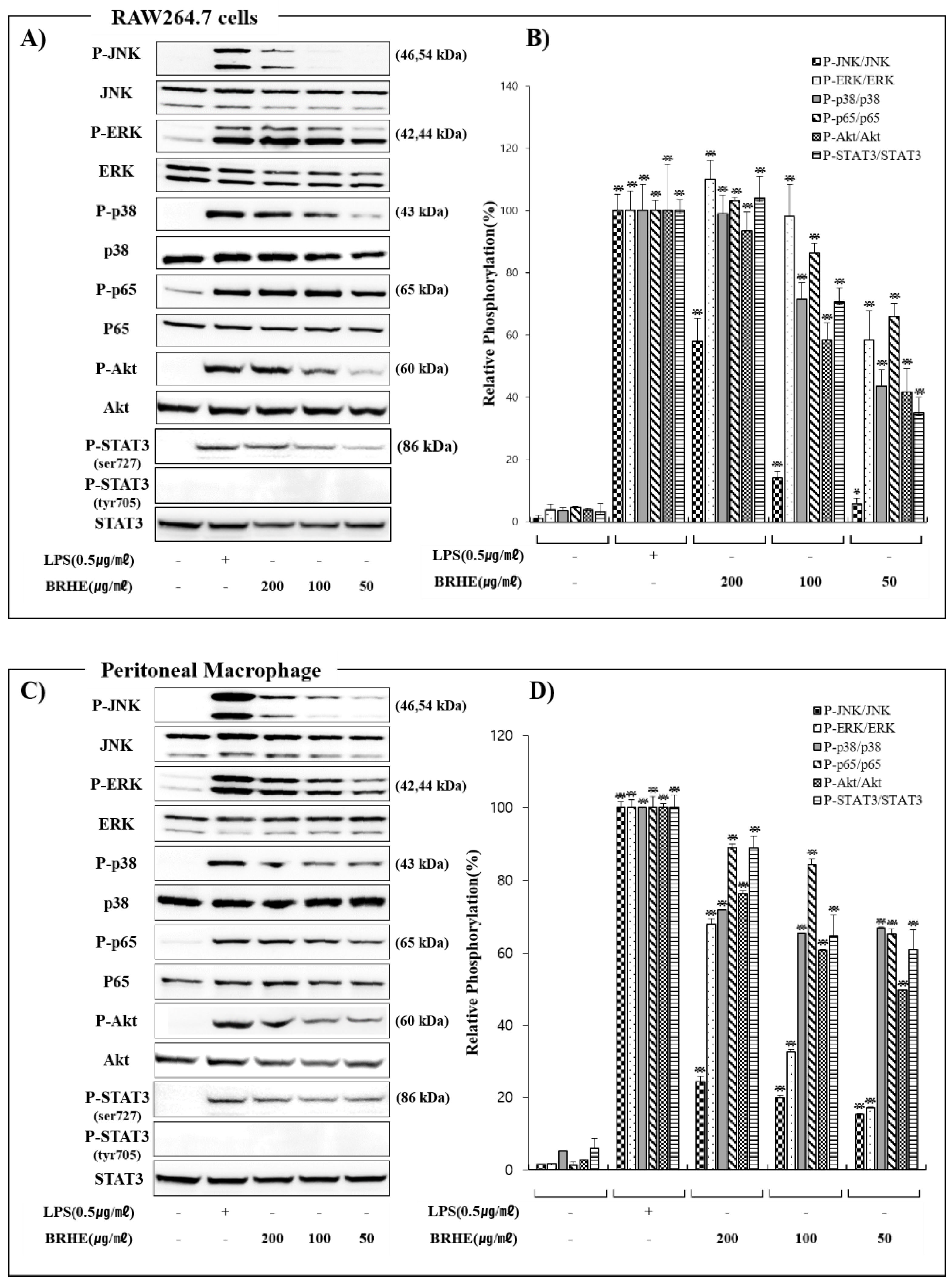 Pharmaceuticals 15 01376 g009 Pharmaceuticals 15 01376 g009