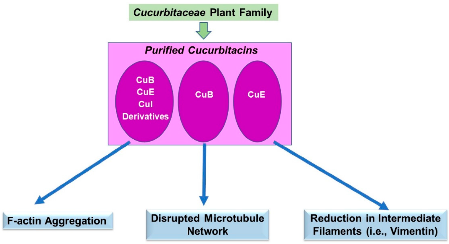 Pharmaceuticals 15 01380 g003