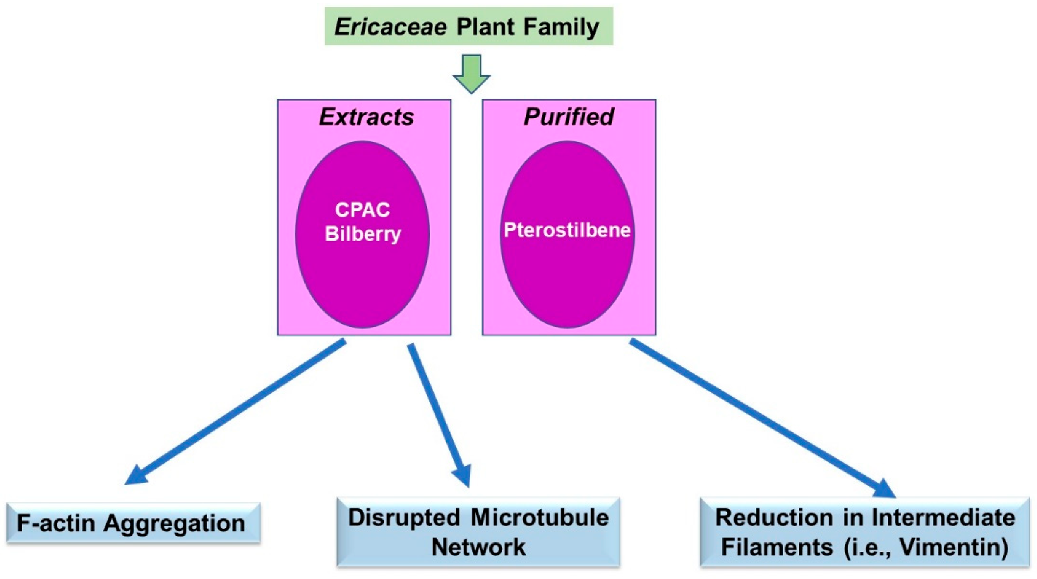 Pharmaceuticals 15 01380 g004