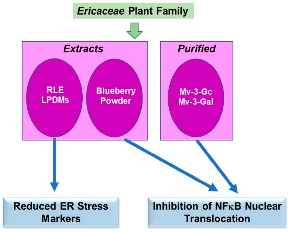 Pharmaceuticals 15 01380 g007