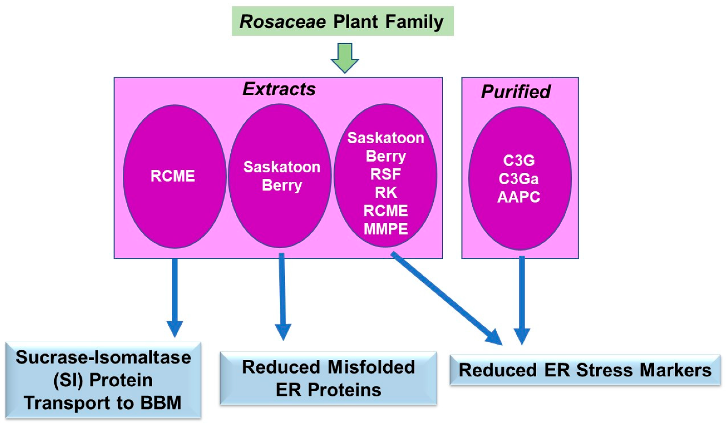 Pharmaceuticals 15 01380 g008