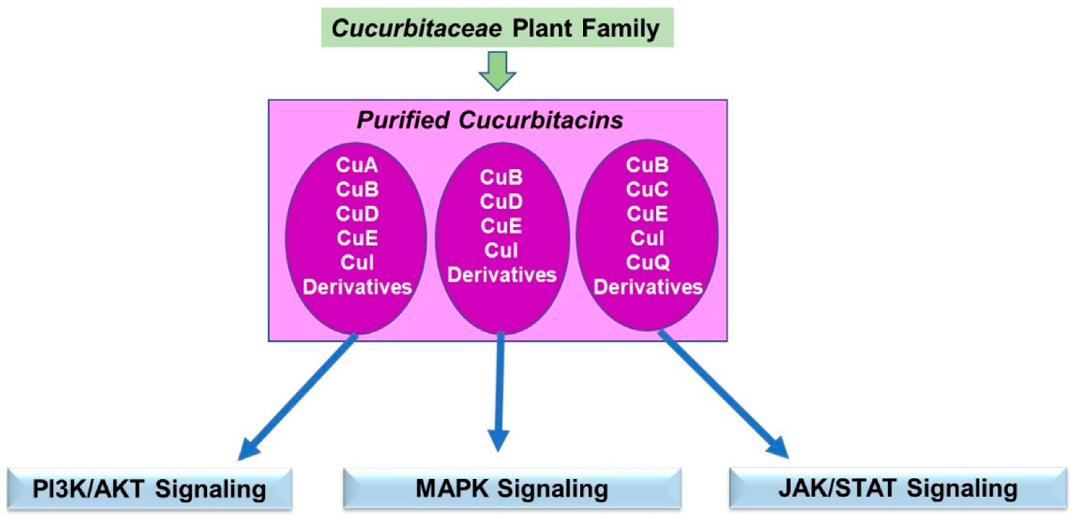 Pharmaceuticals 15 01380 g009