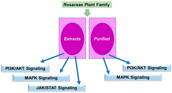 Modulation of Cytoskeleton, Protein Trafficking, and Modulation of Cytoskeleton, Protein Trafficking, and