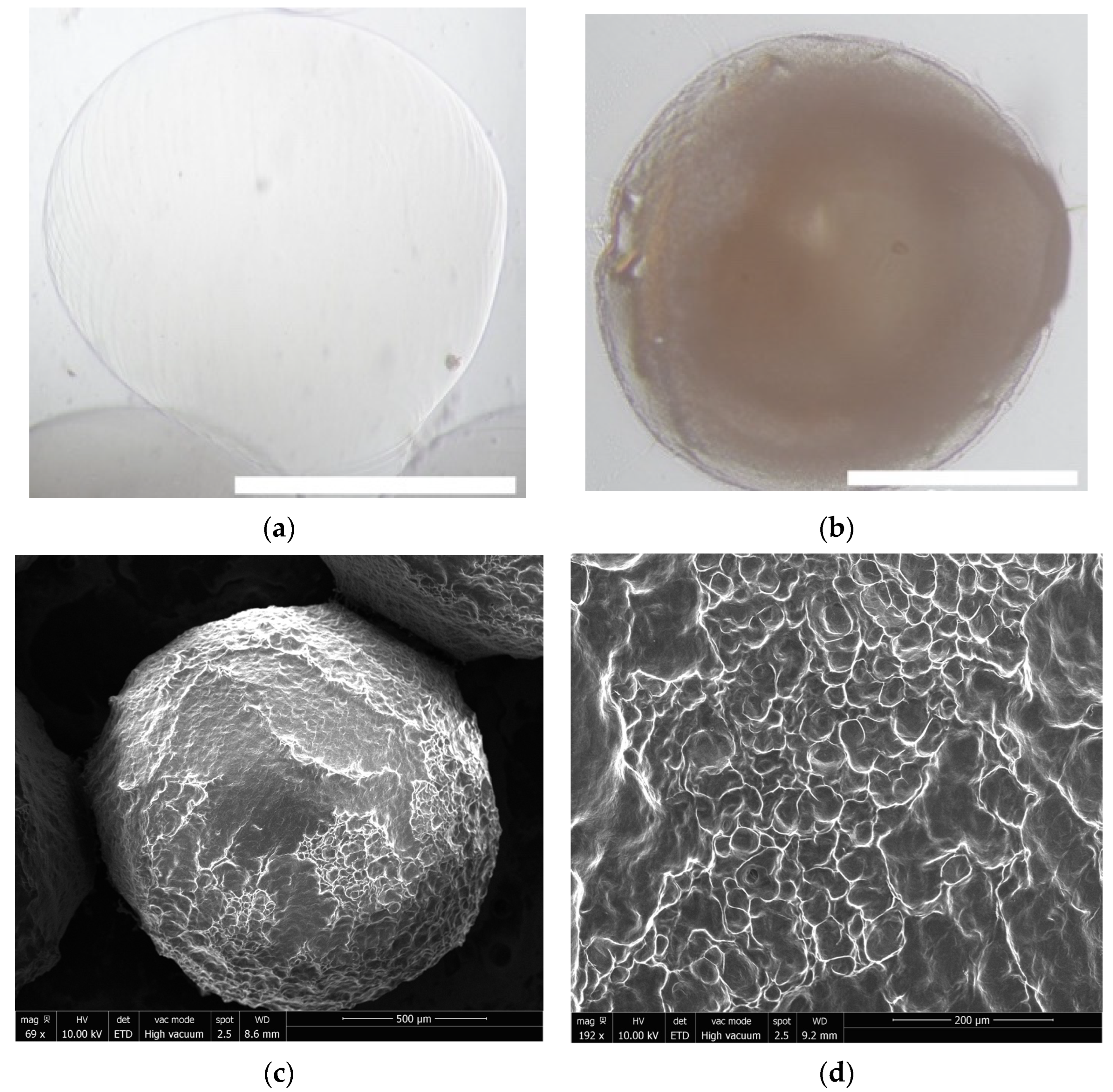 Pharmaceuticals 15 01382 g001
