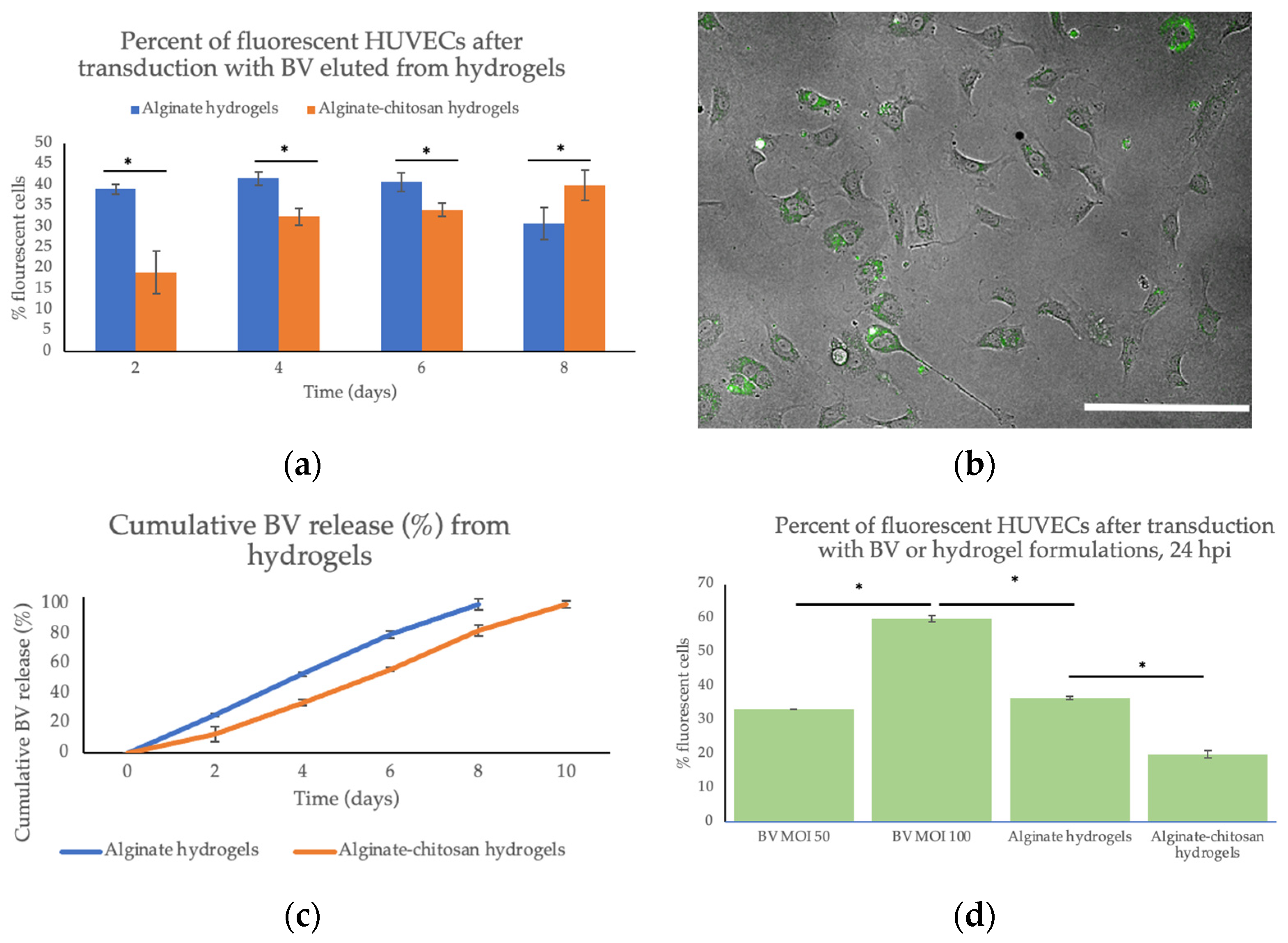 Pharmaceuticals 15 01382 g002