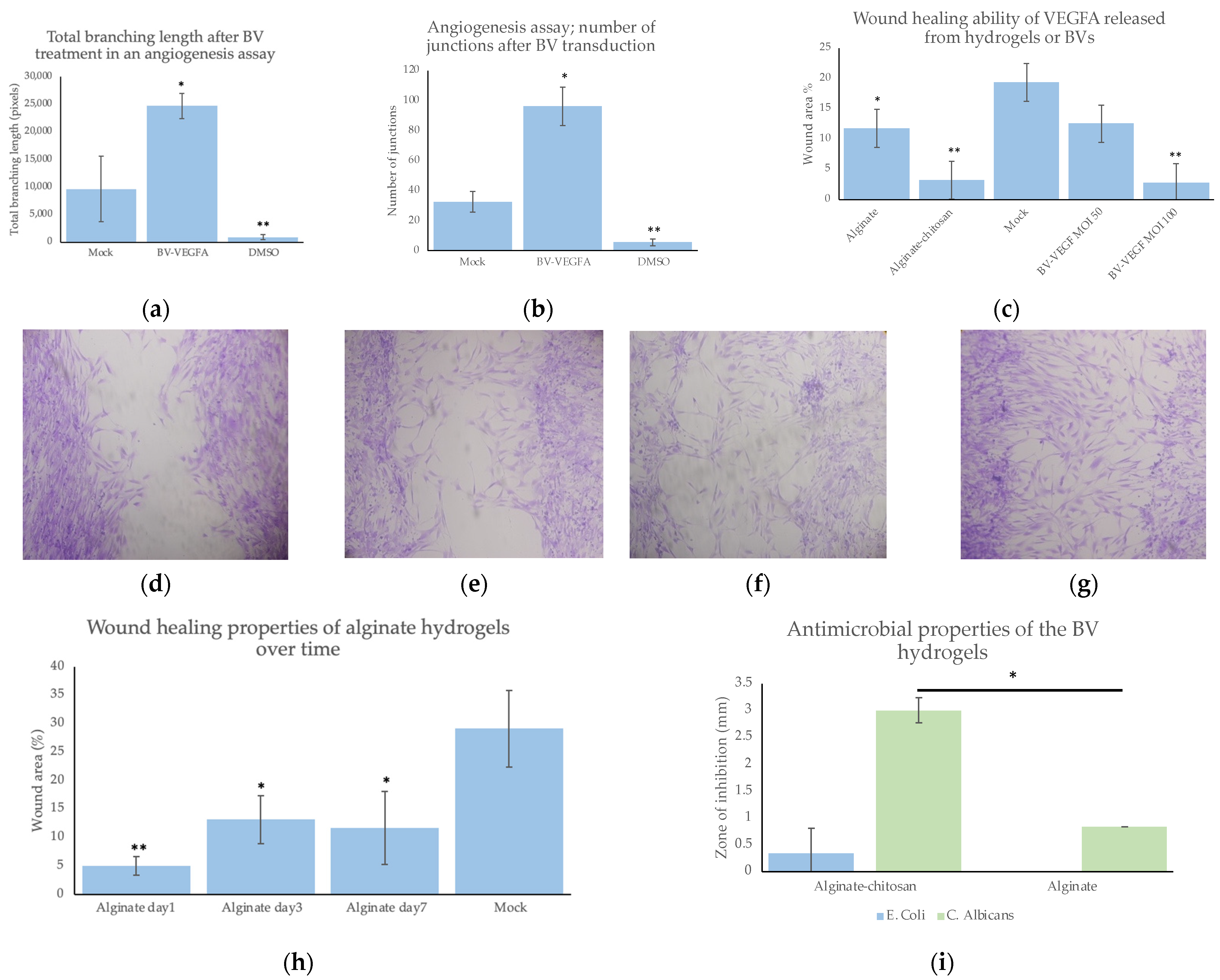 Pharmaceuticals 15 01382 g003