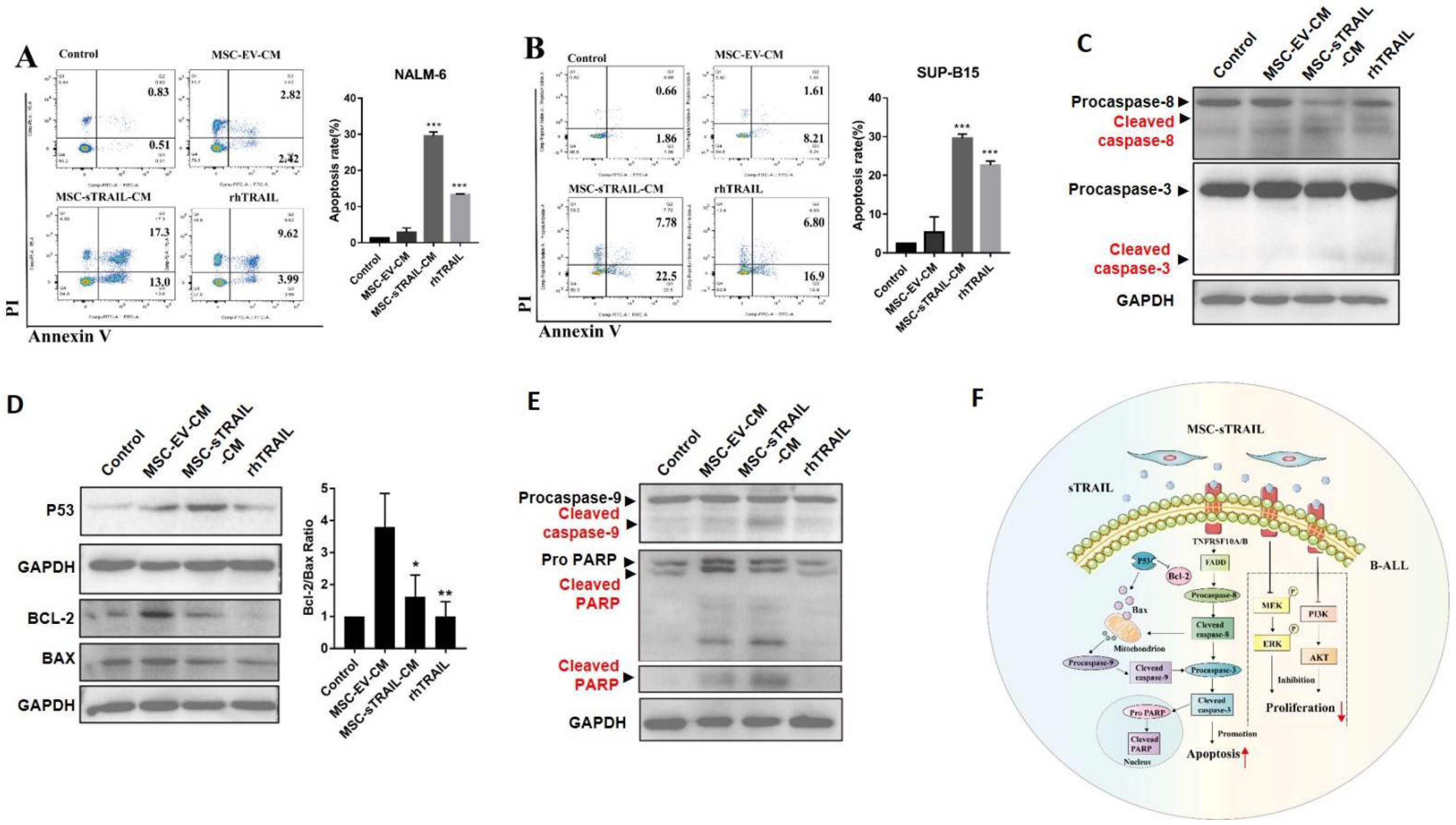 Pharmaceuticals 15 01391 g003
