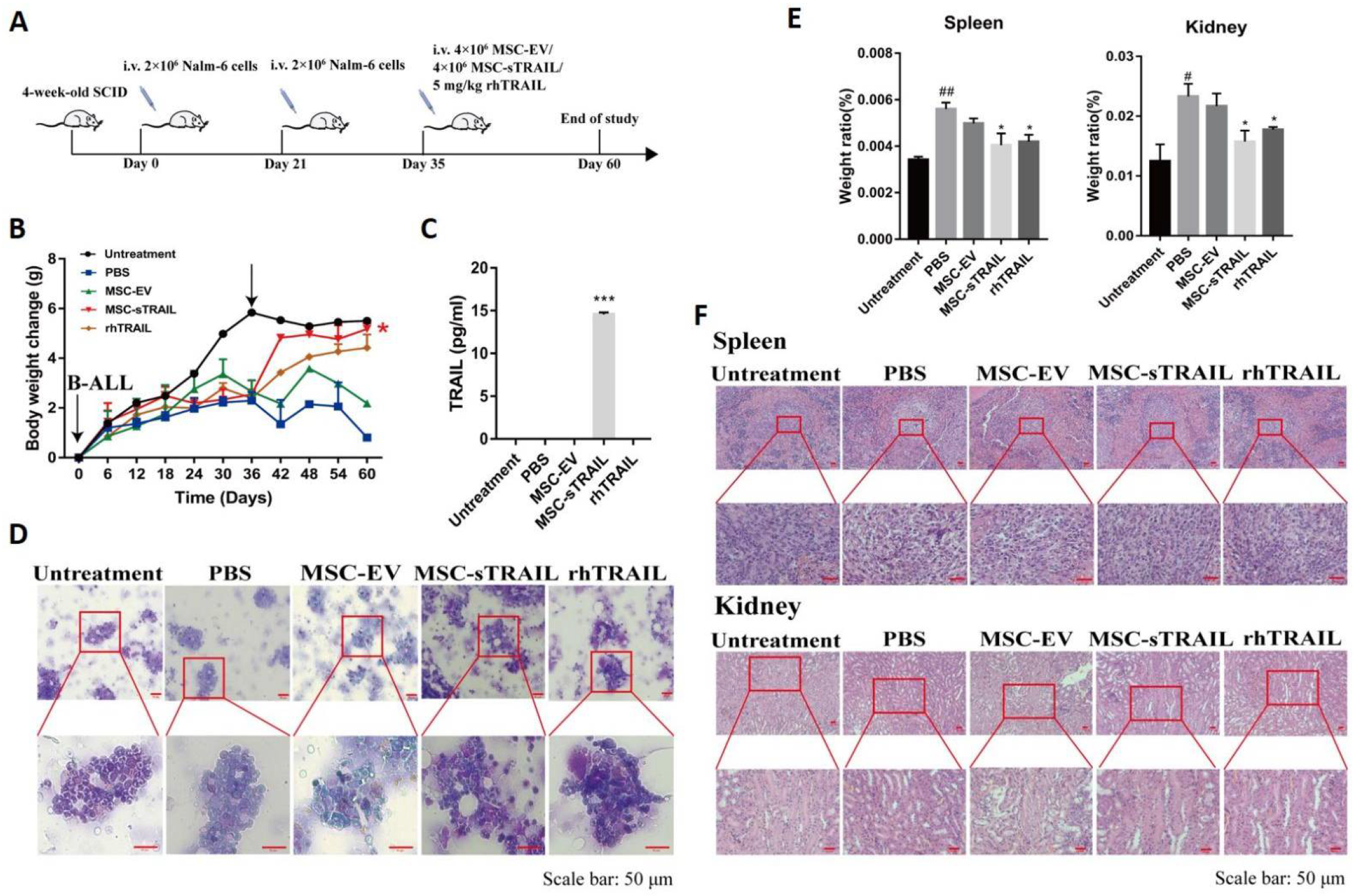 Pharmaceuticals 15 01391 g004