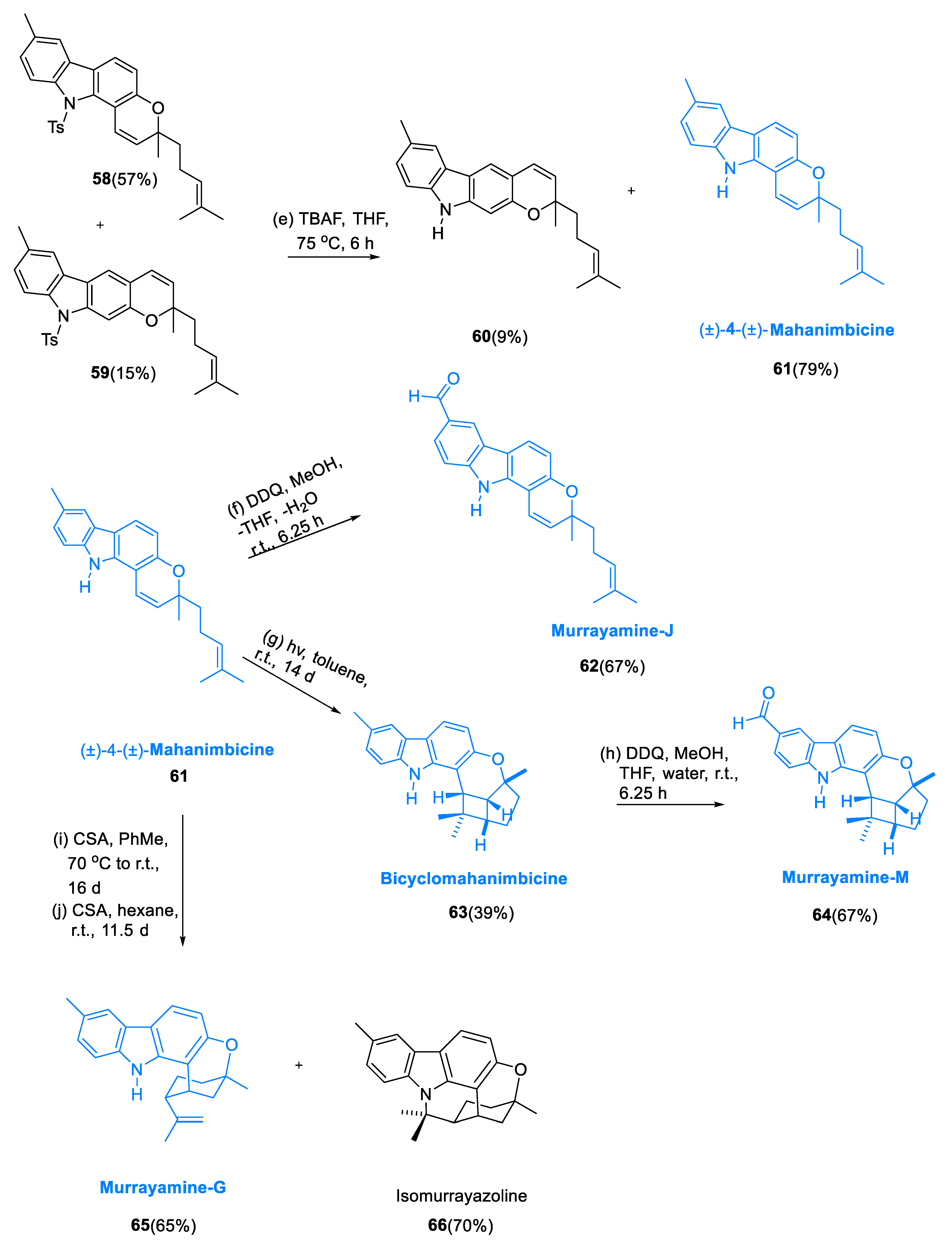 Pharmaceuticals 15 01392 sch006b