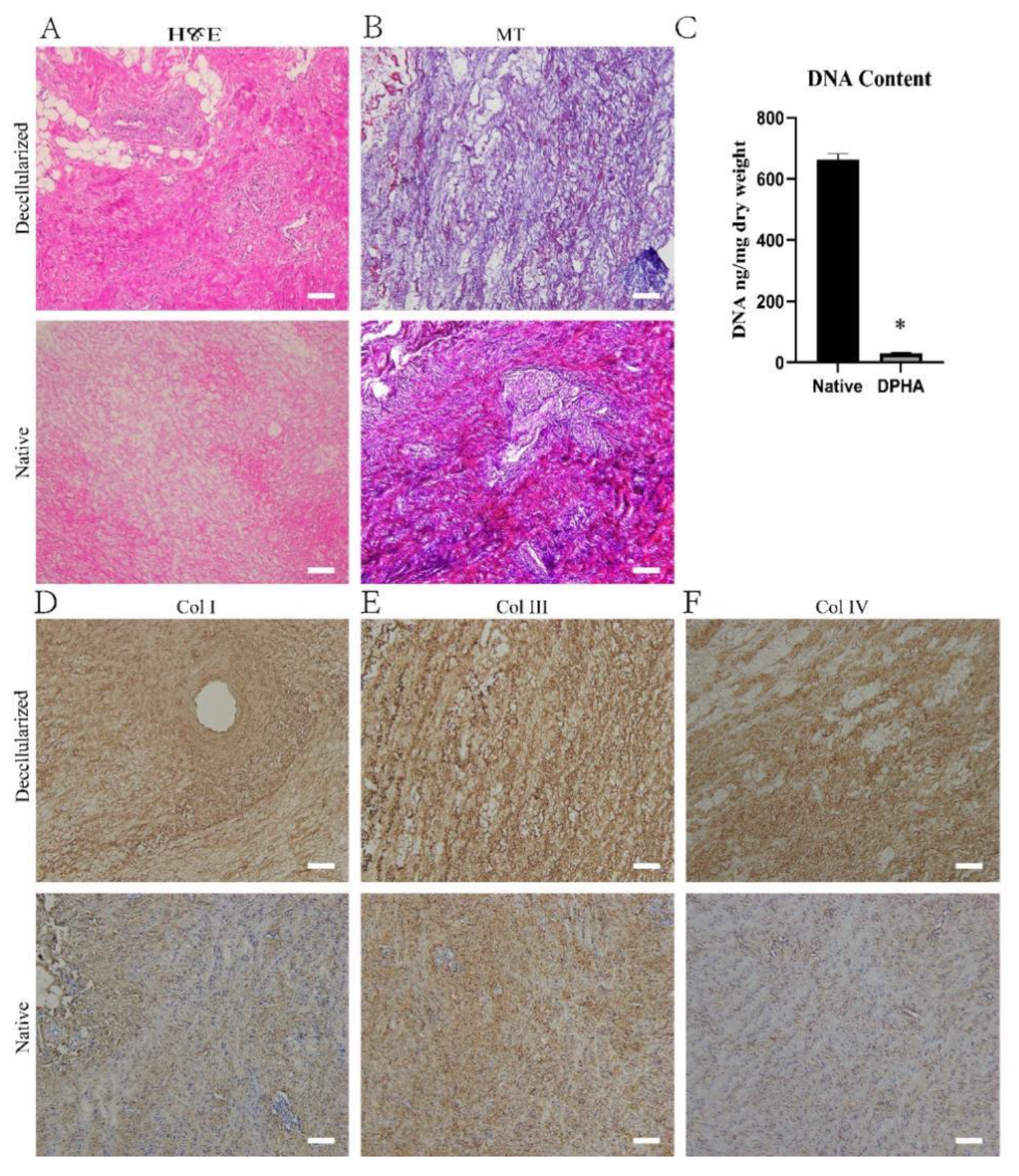 Pharmaceuticals 15 01393 g001 Pharmaceuticals 15 01393 g001