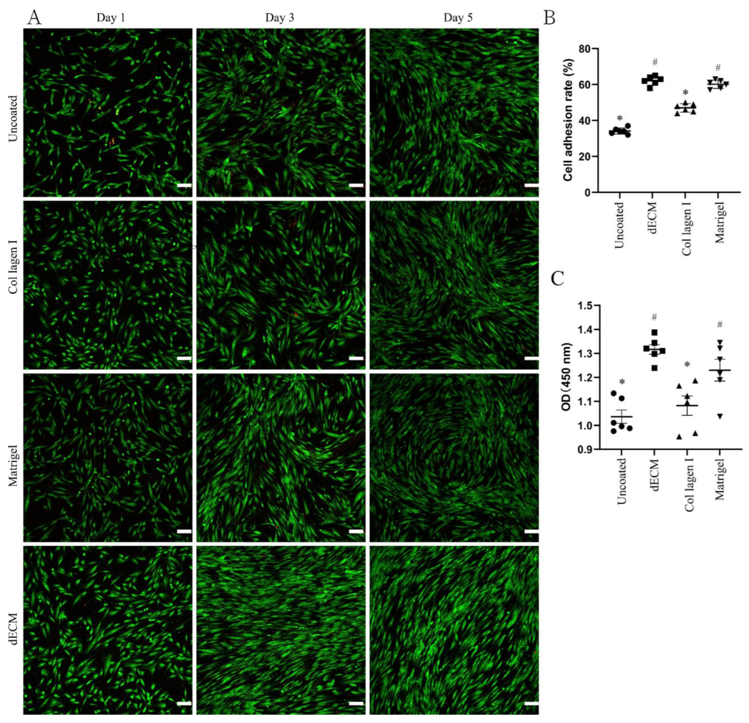 Pharmaceuticals 15 01393 g002 Pharmaceuticals 15 01393 g002