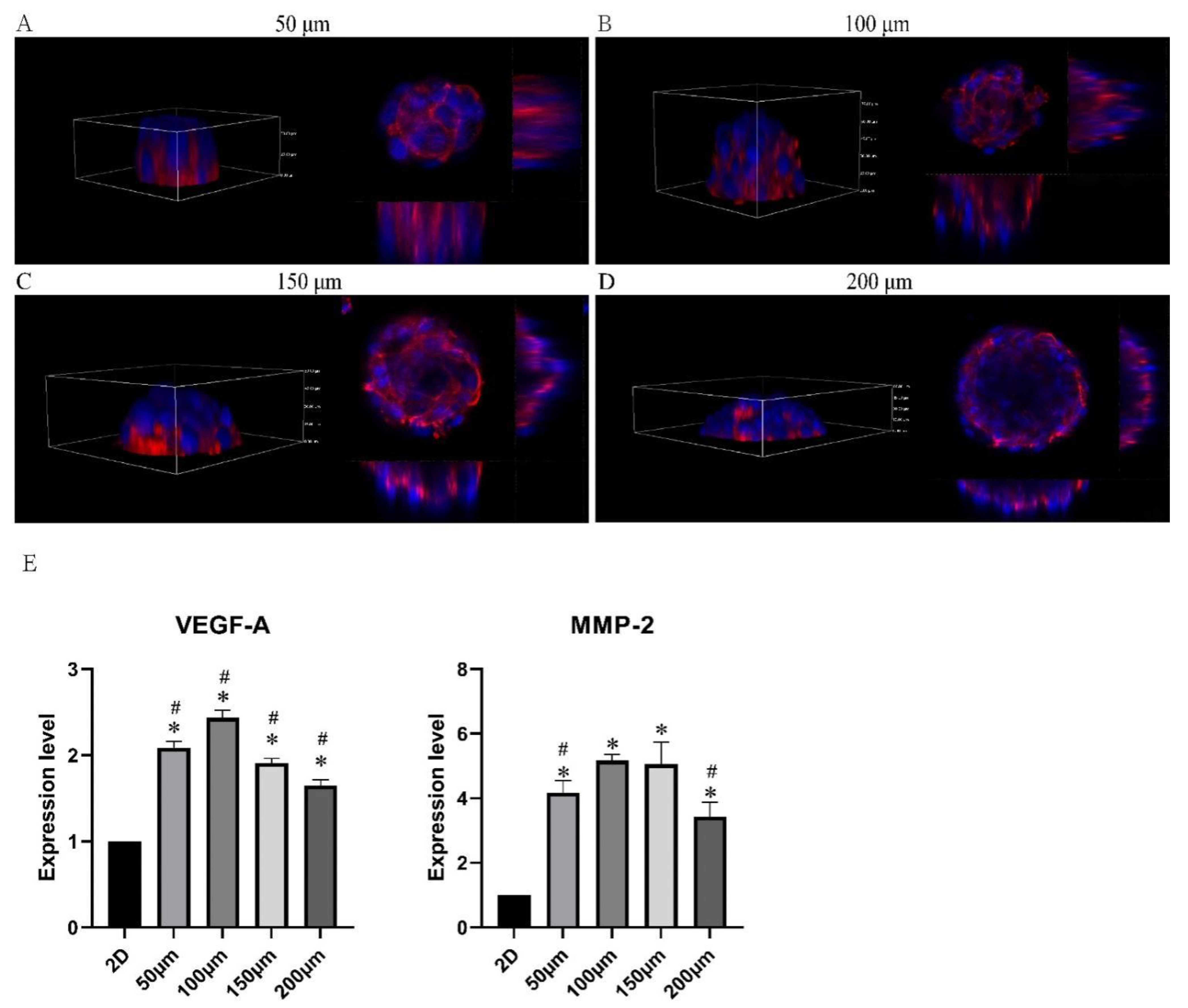 Pharmaceuticals 15 01393 g004 Pharmaceuticals 15 01393 g004