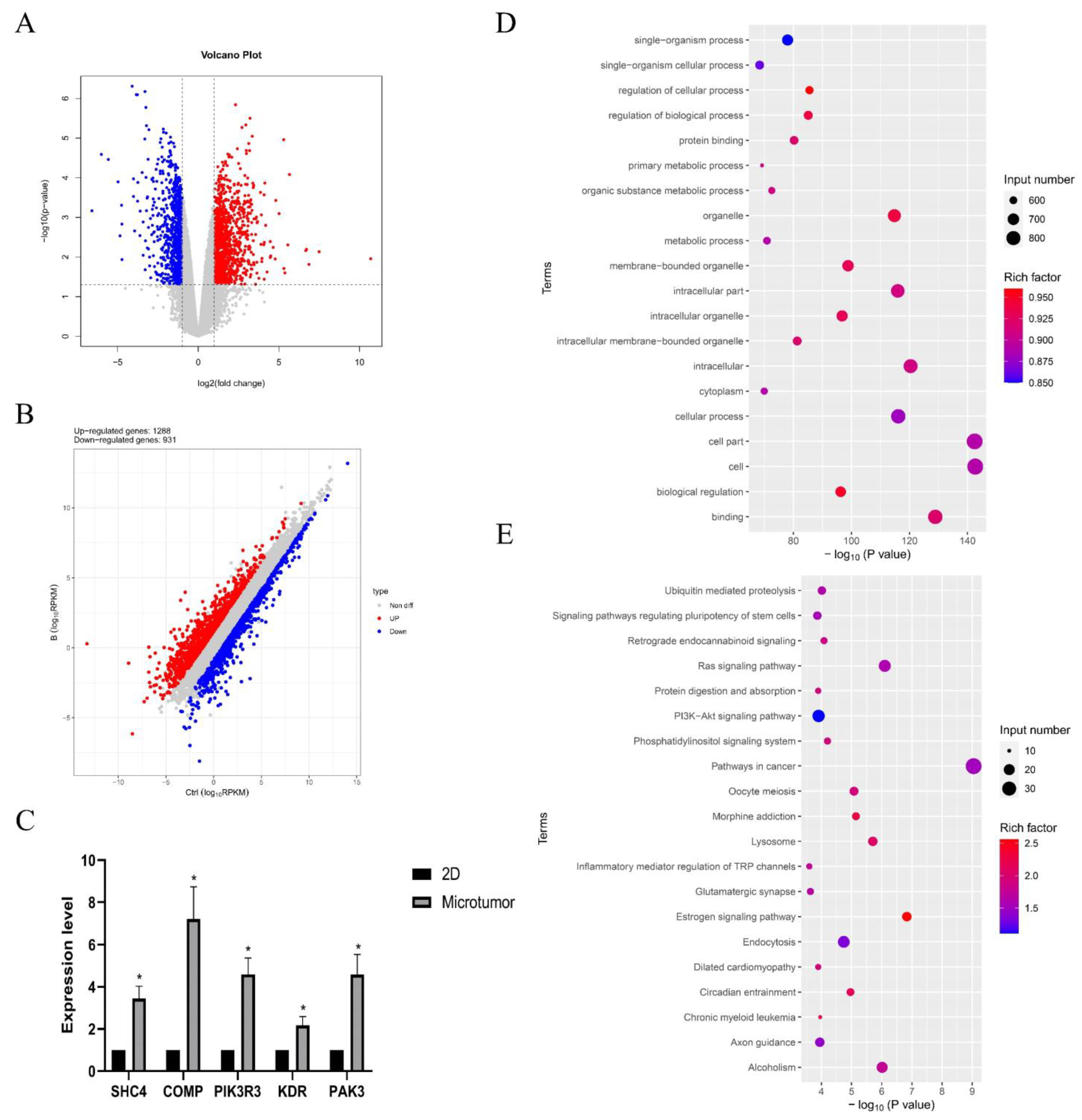 Pharmaceuticals 15 01393 g005 Pharmaceuticals 15 01393 g005