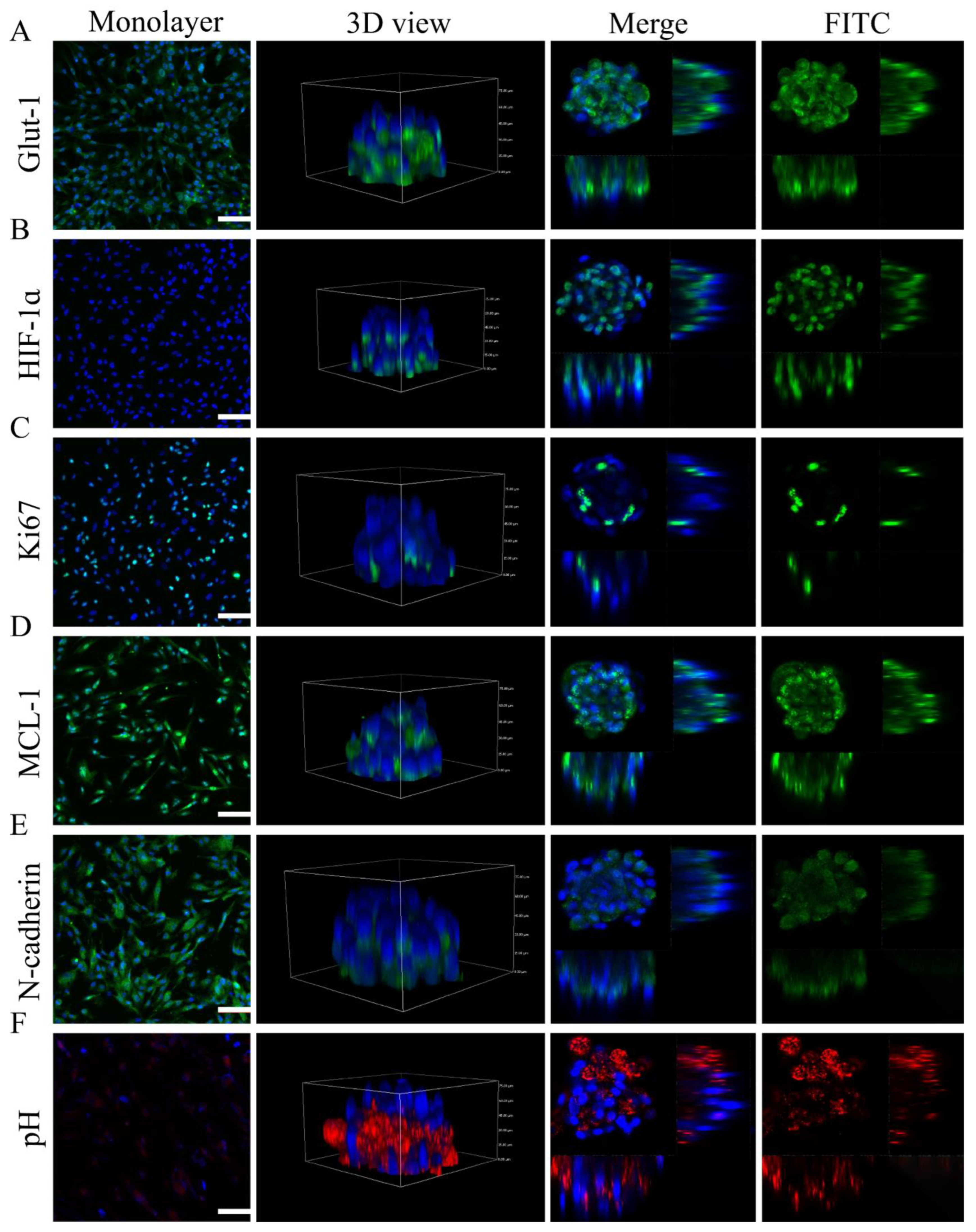 Pharmaceuticals 15 01393 g006 Pharmaceuticals 15 01393 g006