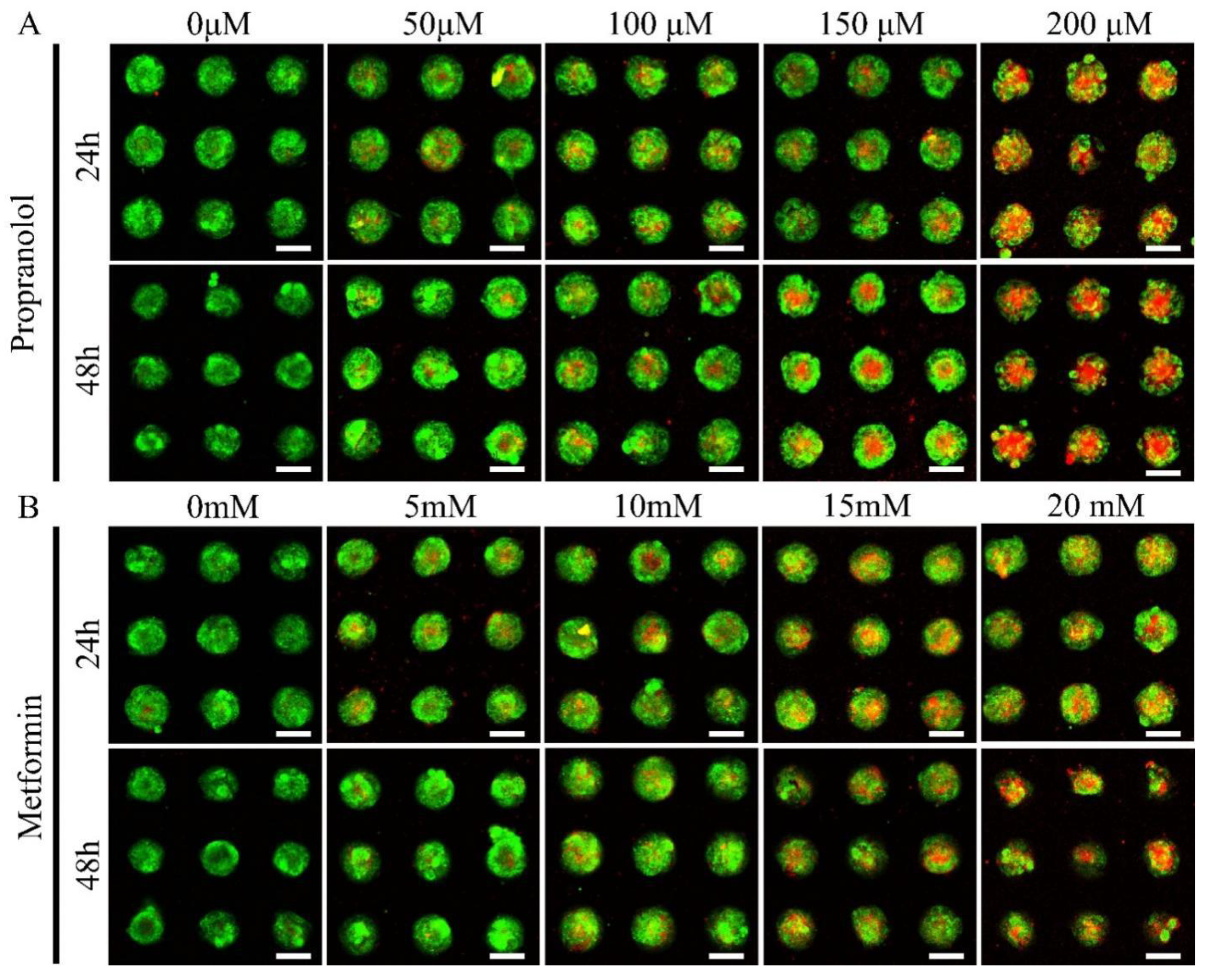 Pharmaceuticals 15 01393 g007 Pharmaceuticals 15 01393 g007