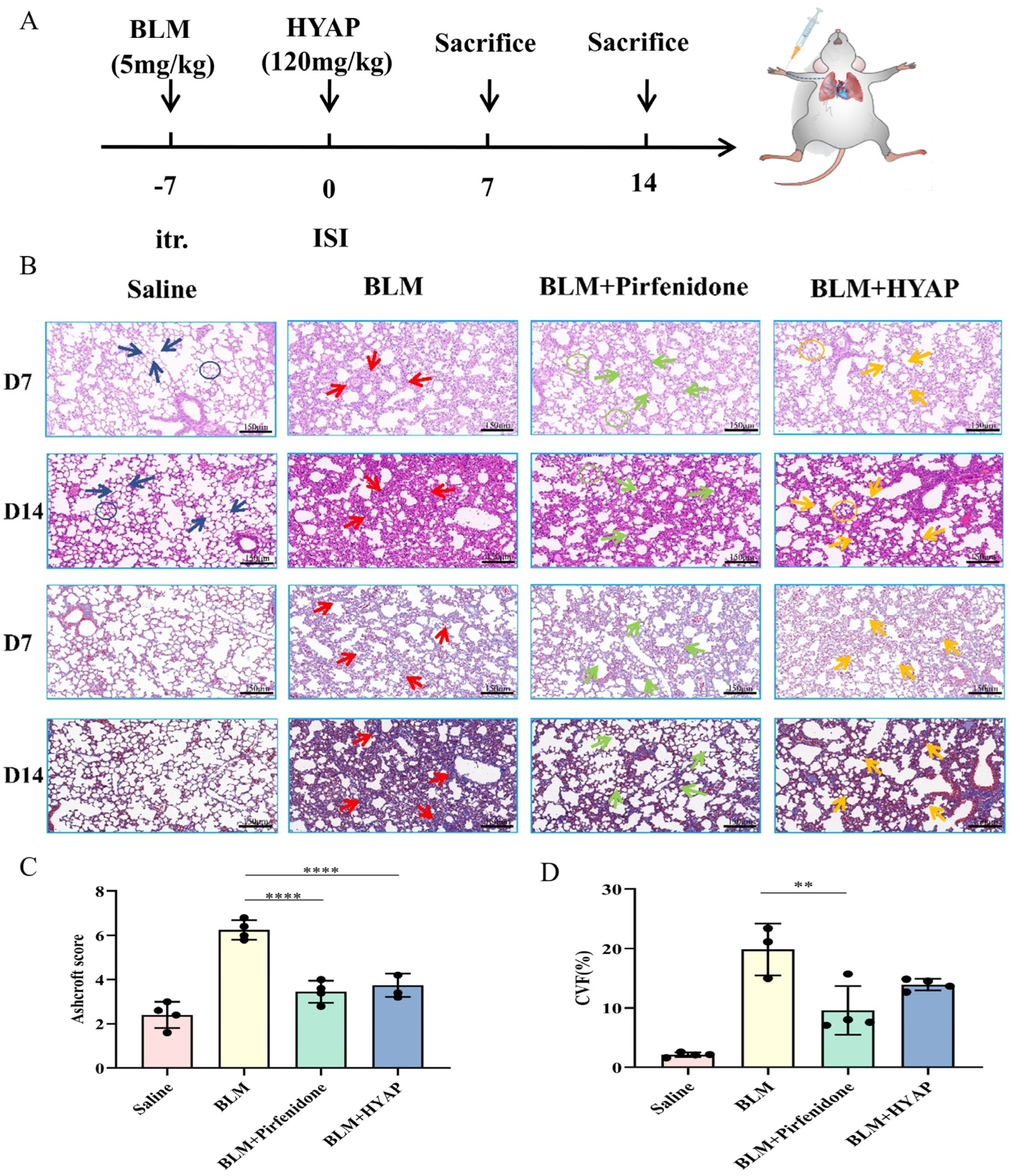 Pharmaceuticals 15 01394 g002
