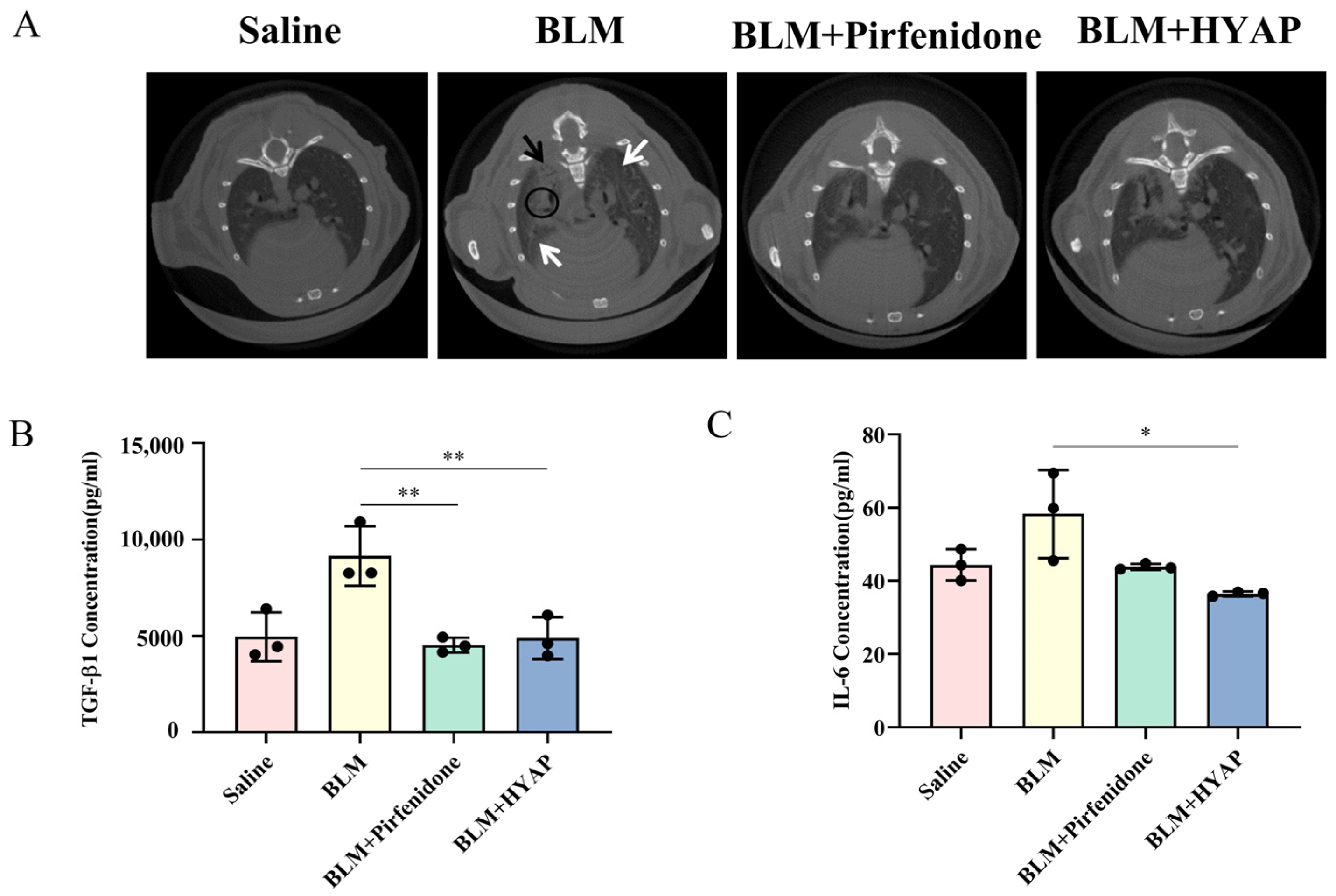 Pharmaceuticals 15 01394 g003