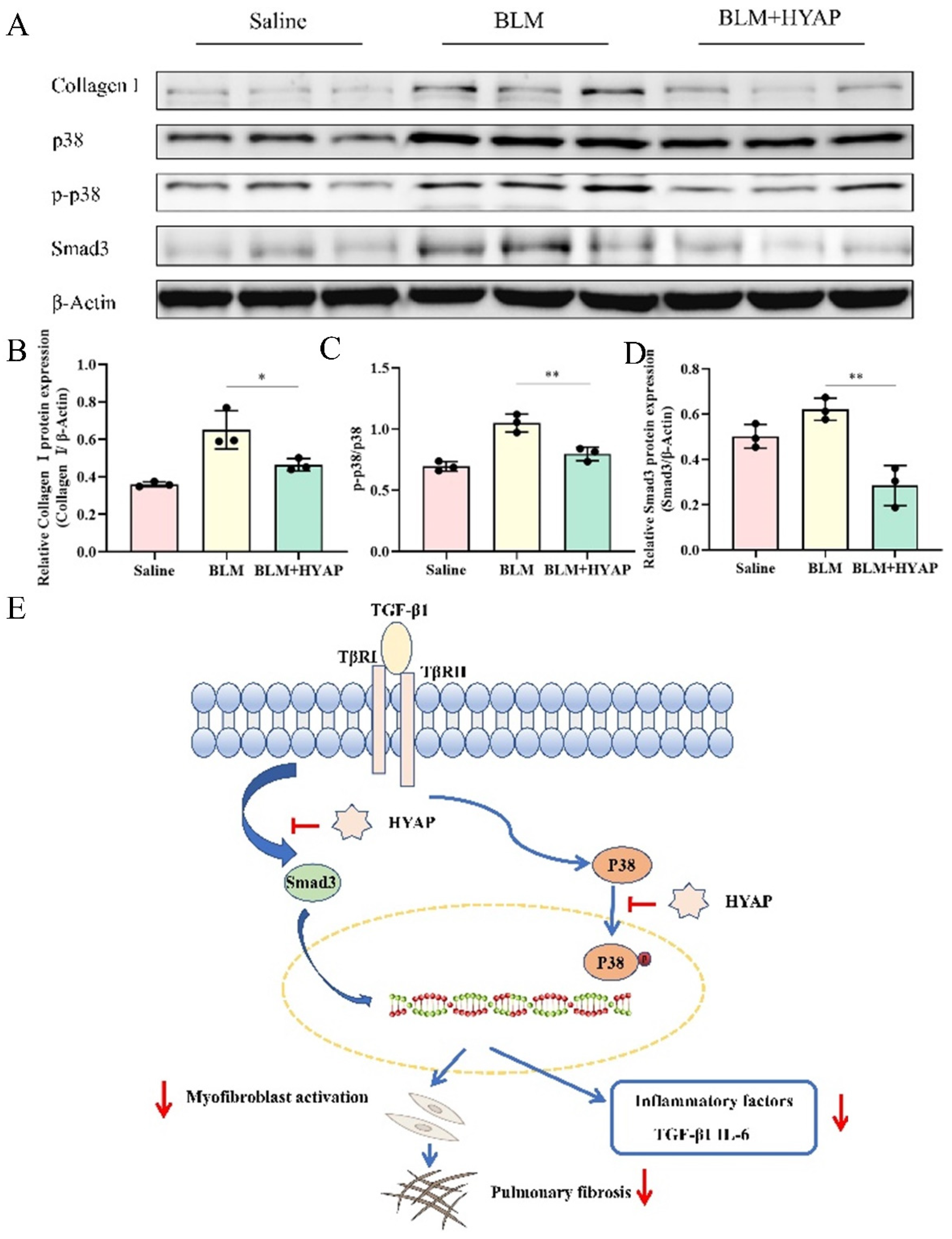 Pharmaceuticals 15 01394 g005
