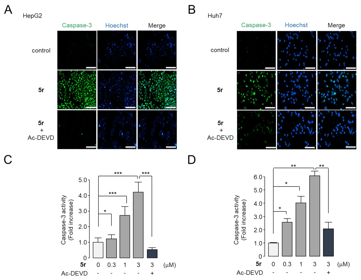Pharmaceuticals 15 01395 g004a