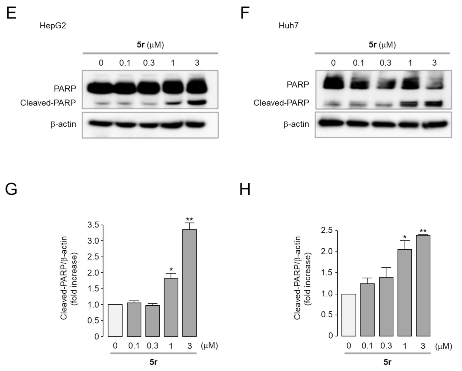 Pharmaceuticals 15 01395 g004b