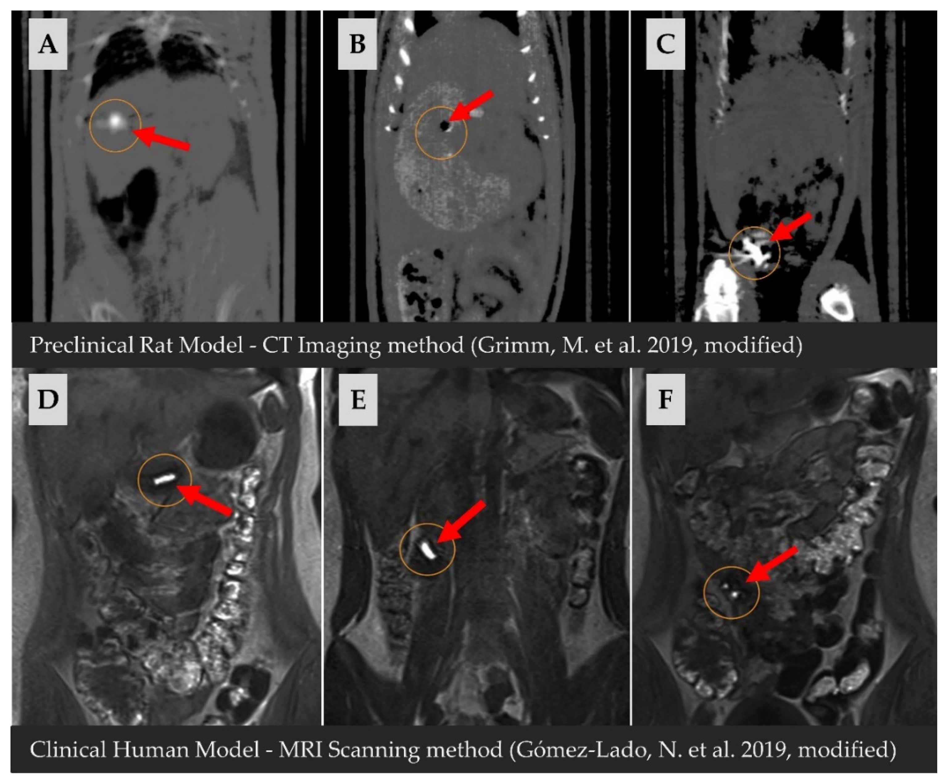 Pharmaceuticals 15 01398 g003 Pharmaceuticals 15 01398 g003