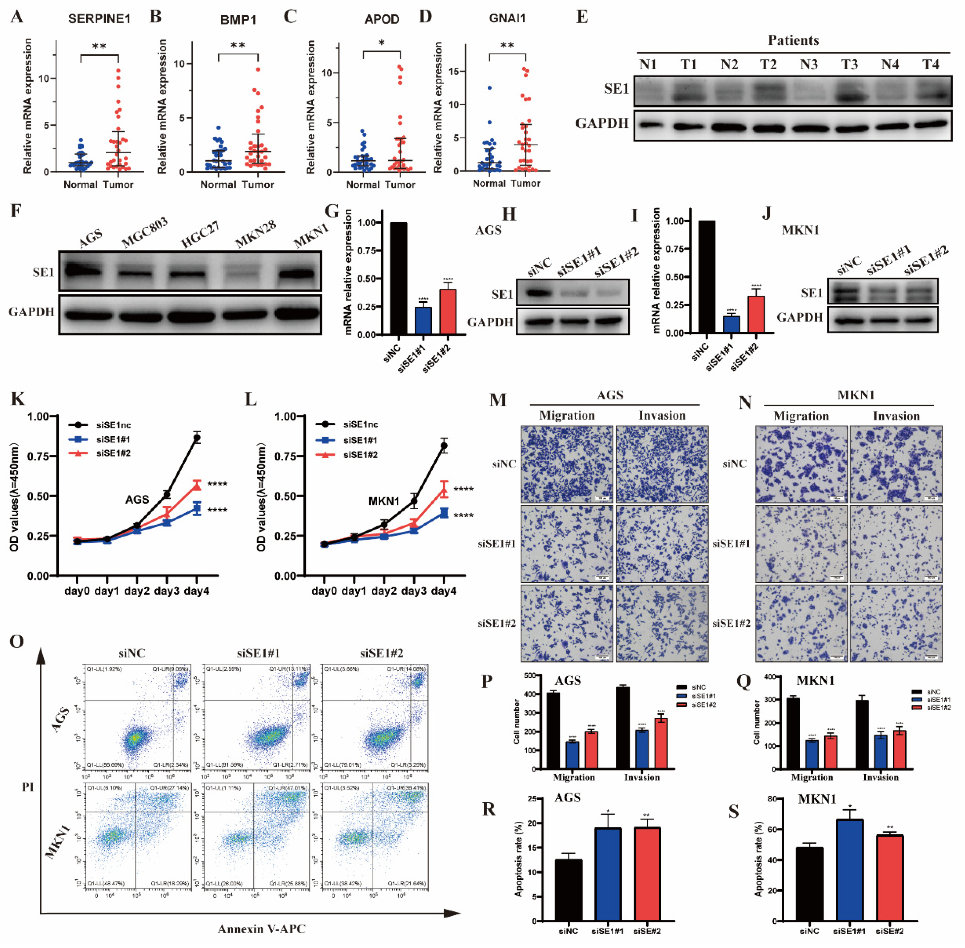 Pharmaceuticals 15 01401 g007 Pharmaceuticals 15 01401 g007