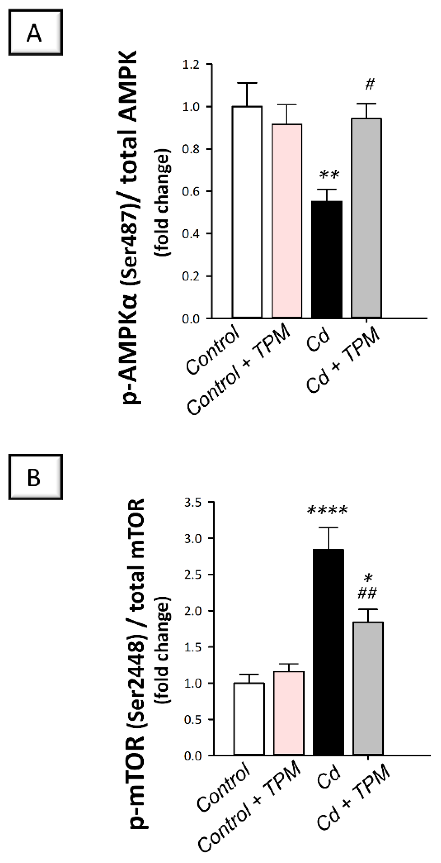 Pharmaceuticals 15 01402 g008 Pharmaceuticals 15 01402 g008