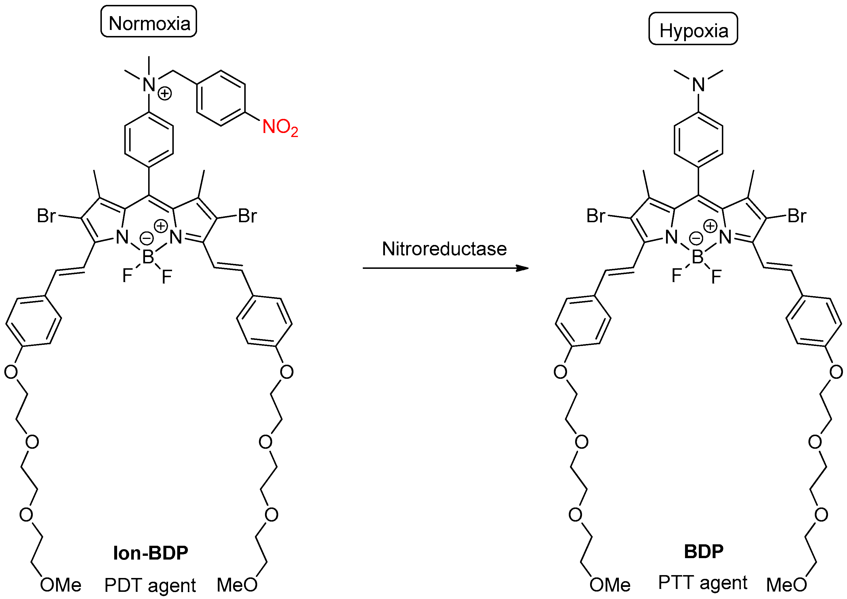 Pharmaceuticals 15 01404 sch014 Pharmaceuticals 15 01404 sch014