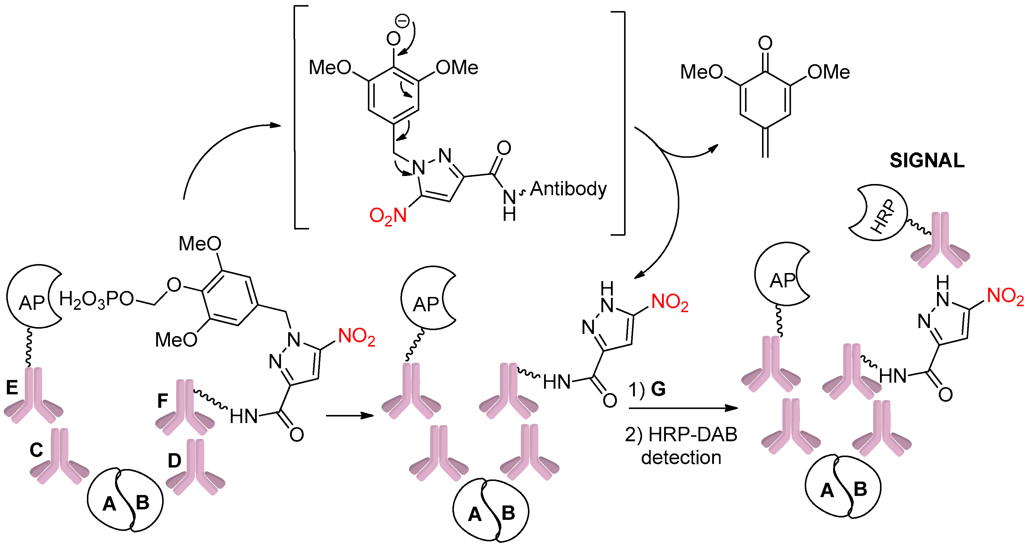 Pharmaceuticals 15 01404 sch023 Pharmaceuticals 15 01404 sch023