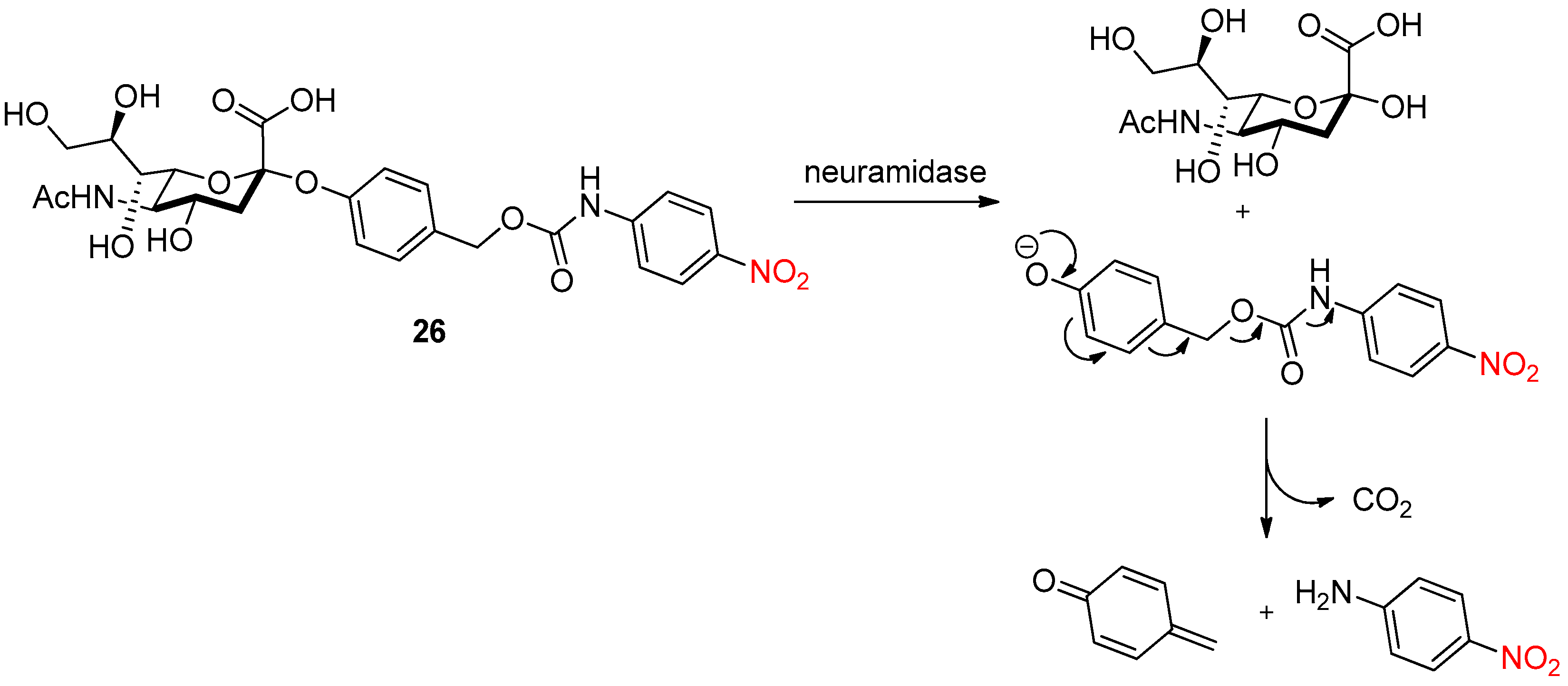 Pharmaceuticals 15 01404 sch029 Pharmaceuticals 15 01404 sch029