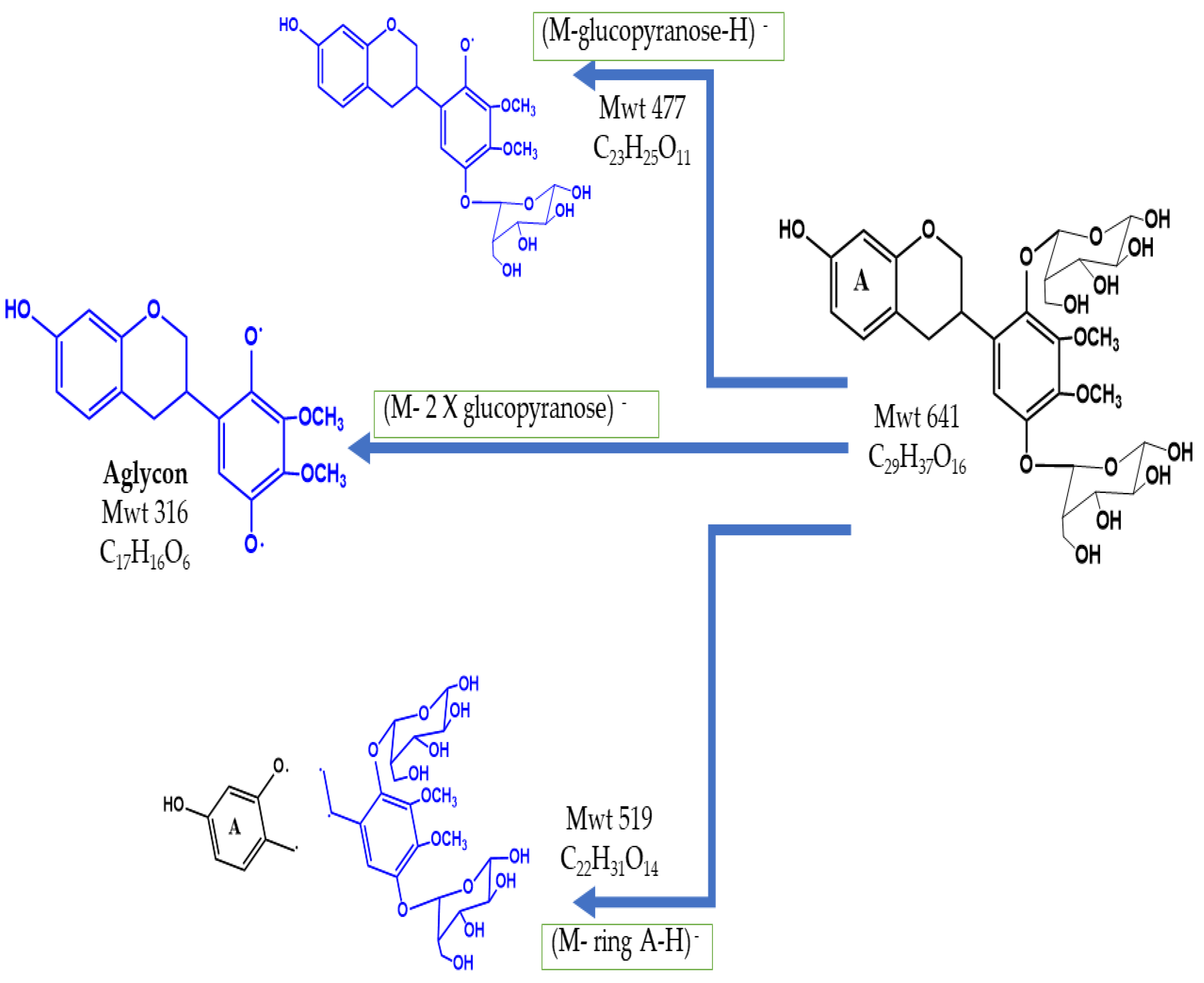 Pharmaceuticals 15 01406 g002
