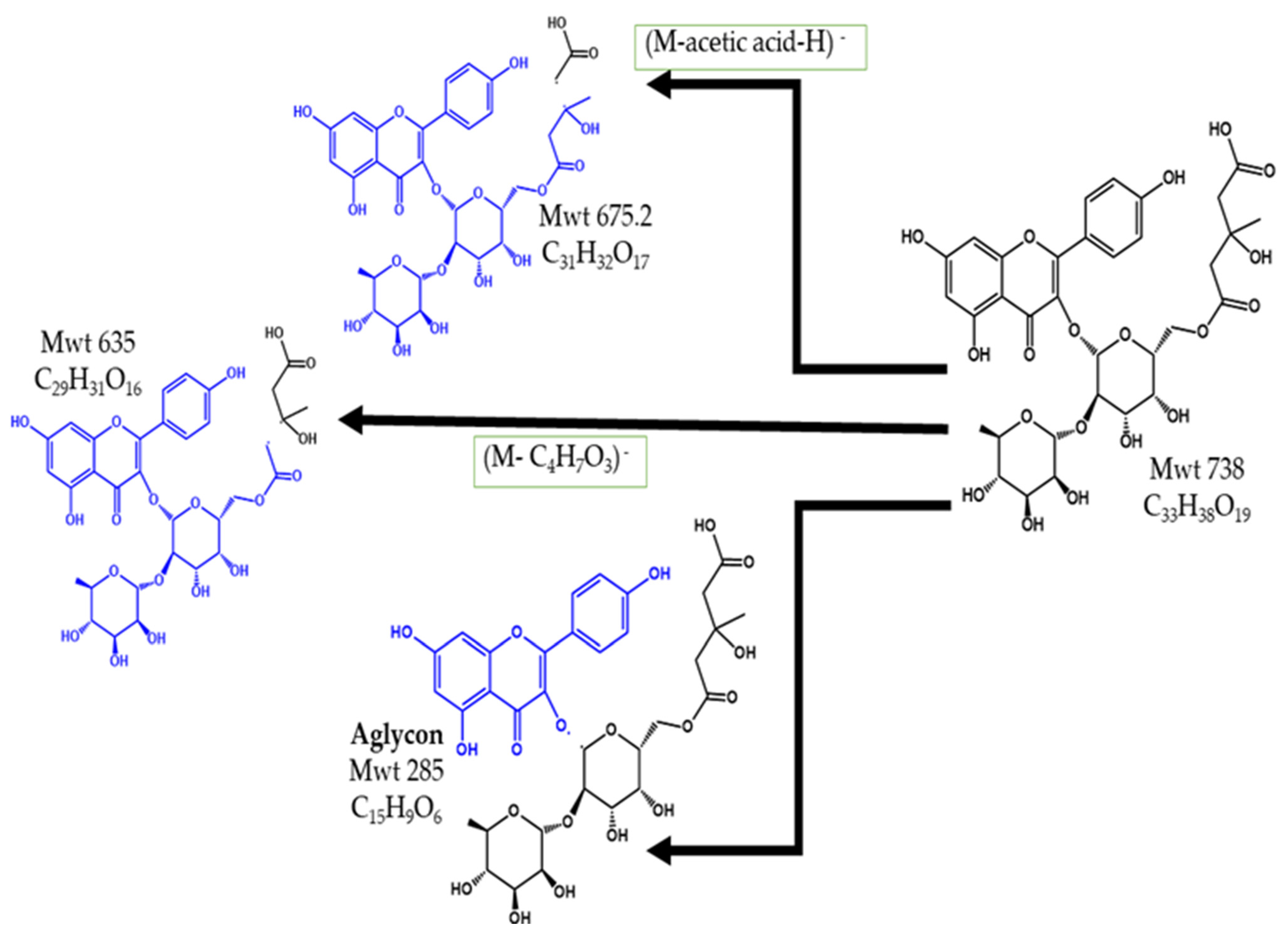 Pharmaceuticals 15 01406 g004