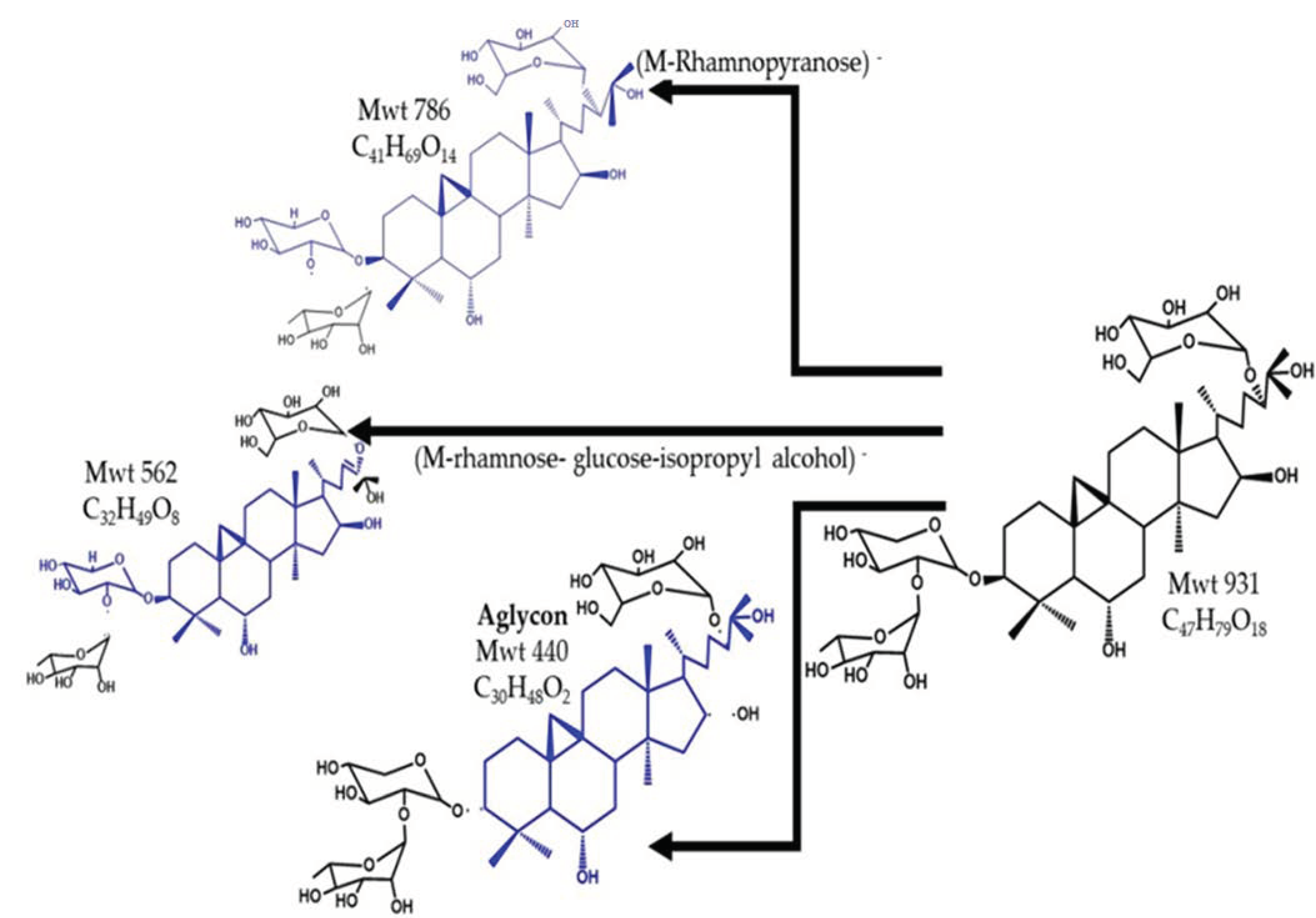 Pharmaceuticals 15 01406 g006